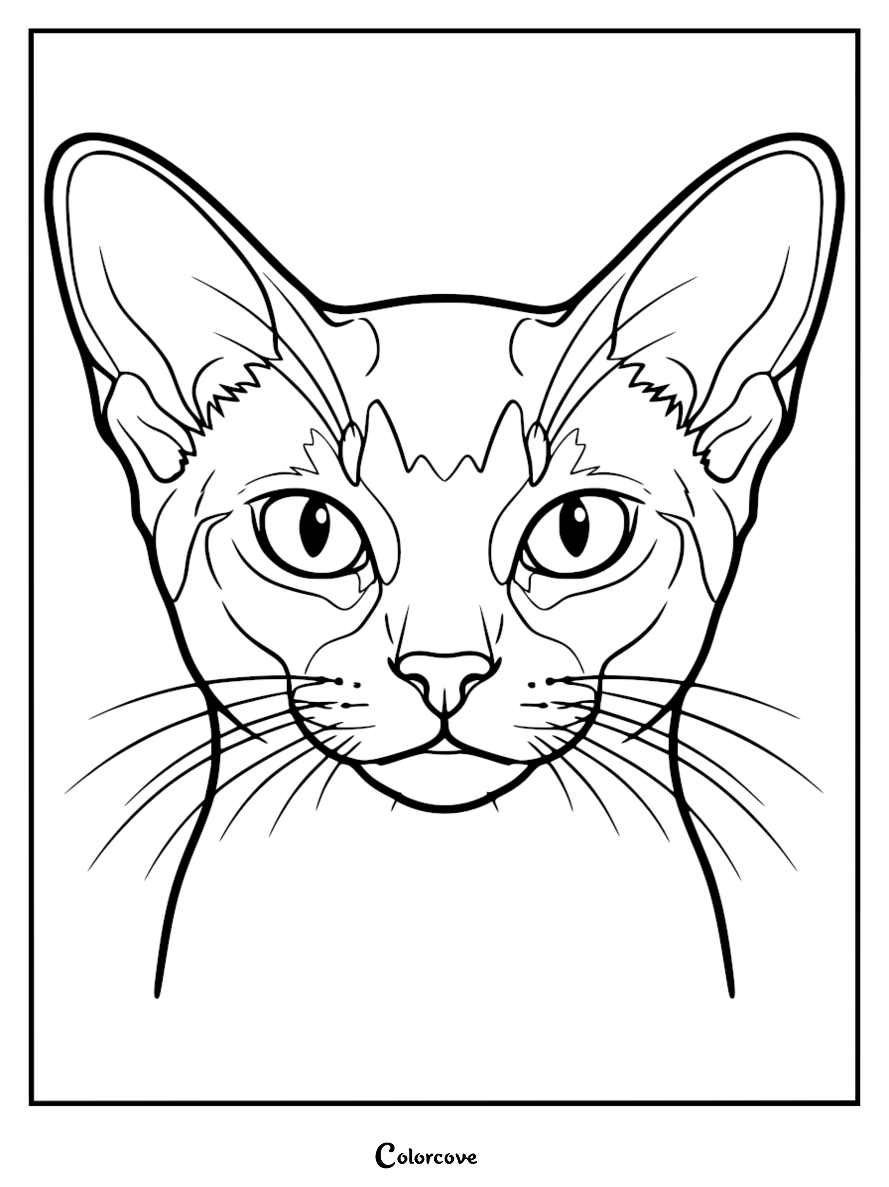 A detailed line art coloring page featuring the alert, triangular face and large ears of an Abyssinian cat.