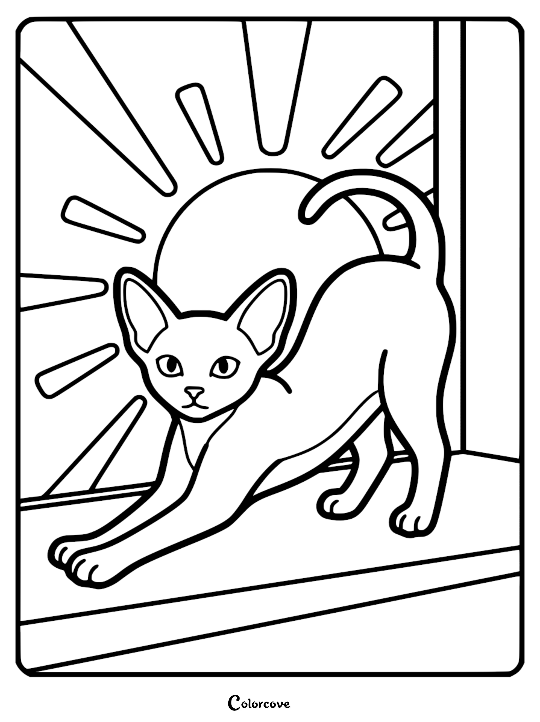 Abyssinian cat with large ears stretching on a windowsill in front of a sunburst background in this printable coloring page.