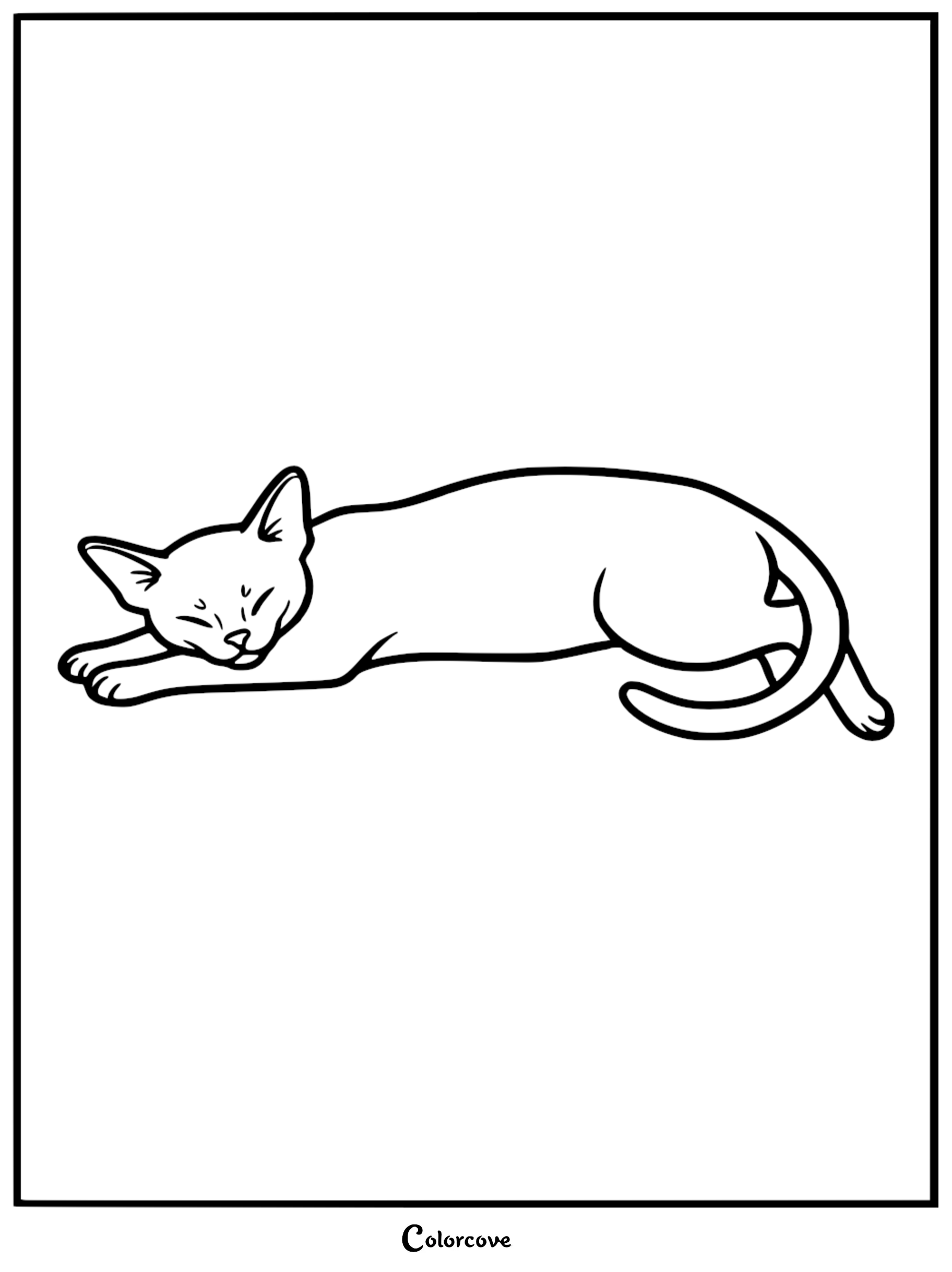 A simple line art coloring page of an Abyssinian cat lying down with its eyes closed and tail curled.
