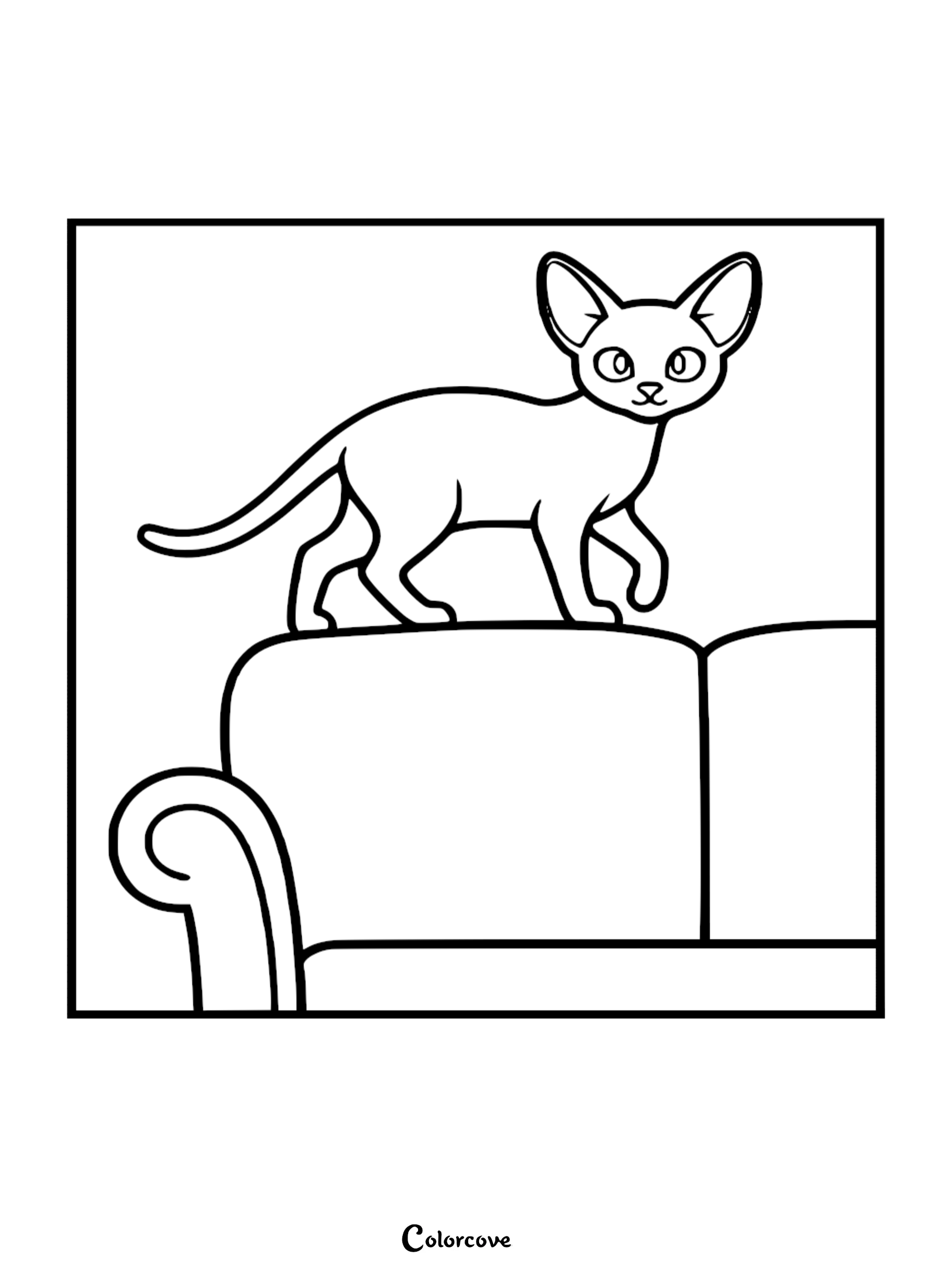 A simple line art coloring page featuring an Abyssinian cat with large ears standing on the back of a sofa.