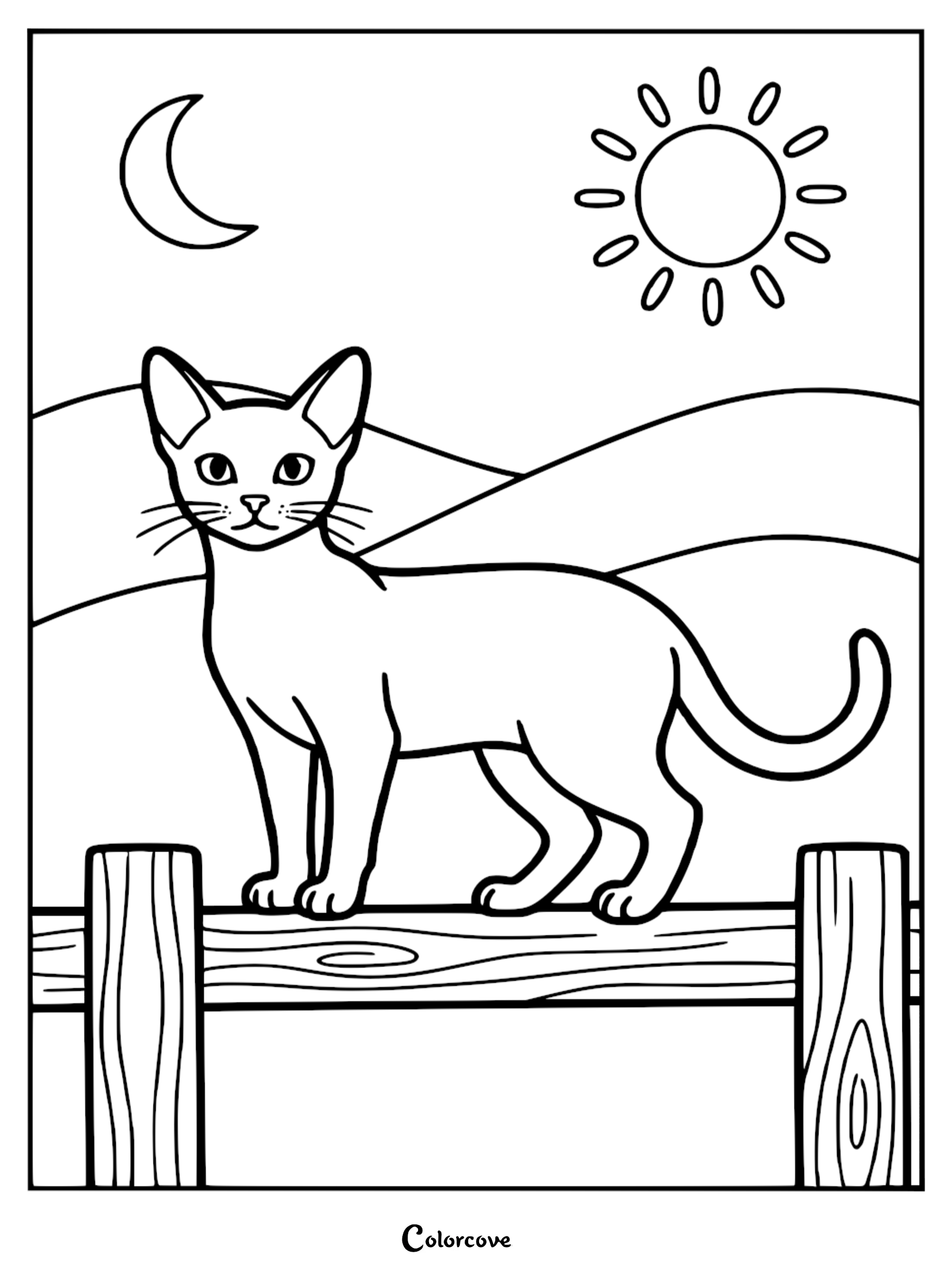Abyssinian cat standing on a wooden fence with a sun and crescent moon in the background, printable coloring page.