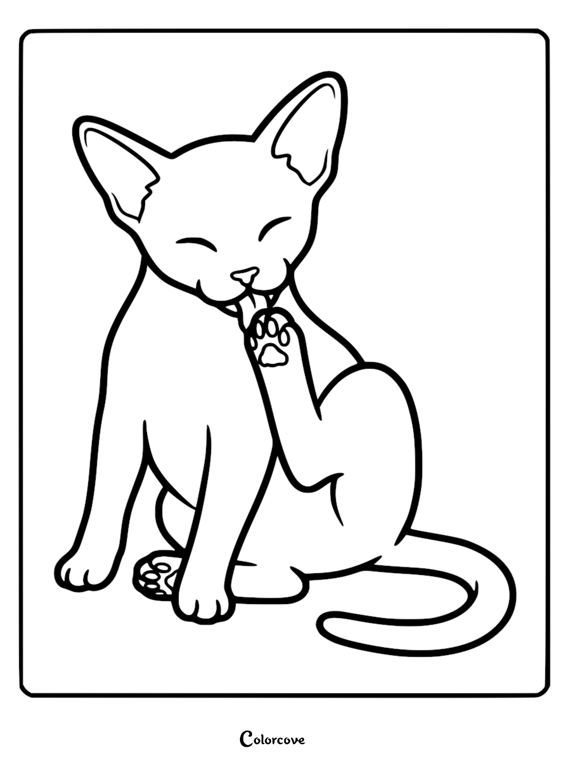 A simple line art coloring page of an Abyssinian cat sitting and licking its raised paw with eyes closed.