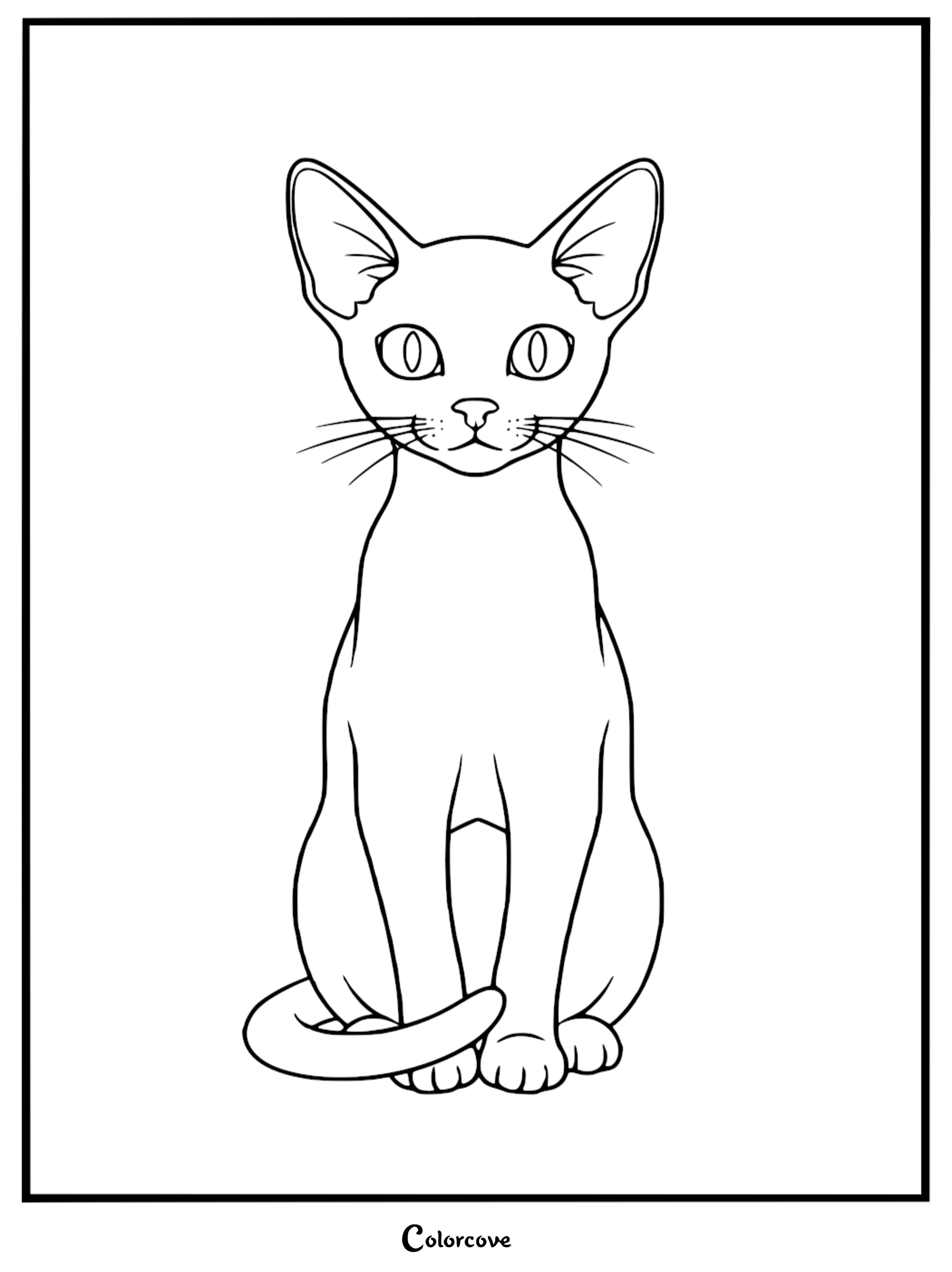 A clean line art coloring page featuring a slender Abyssinian cat sitting upright with large pointed ears and alert eyes.