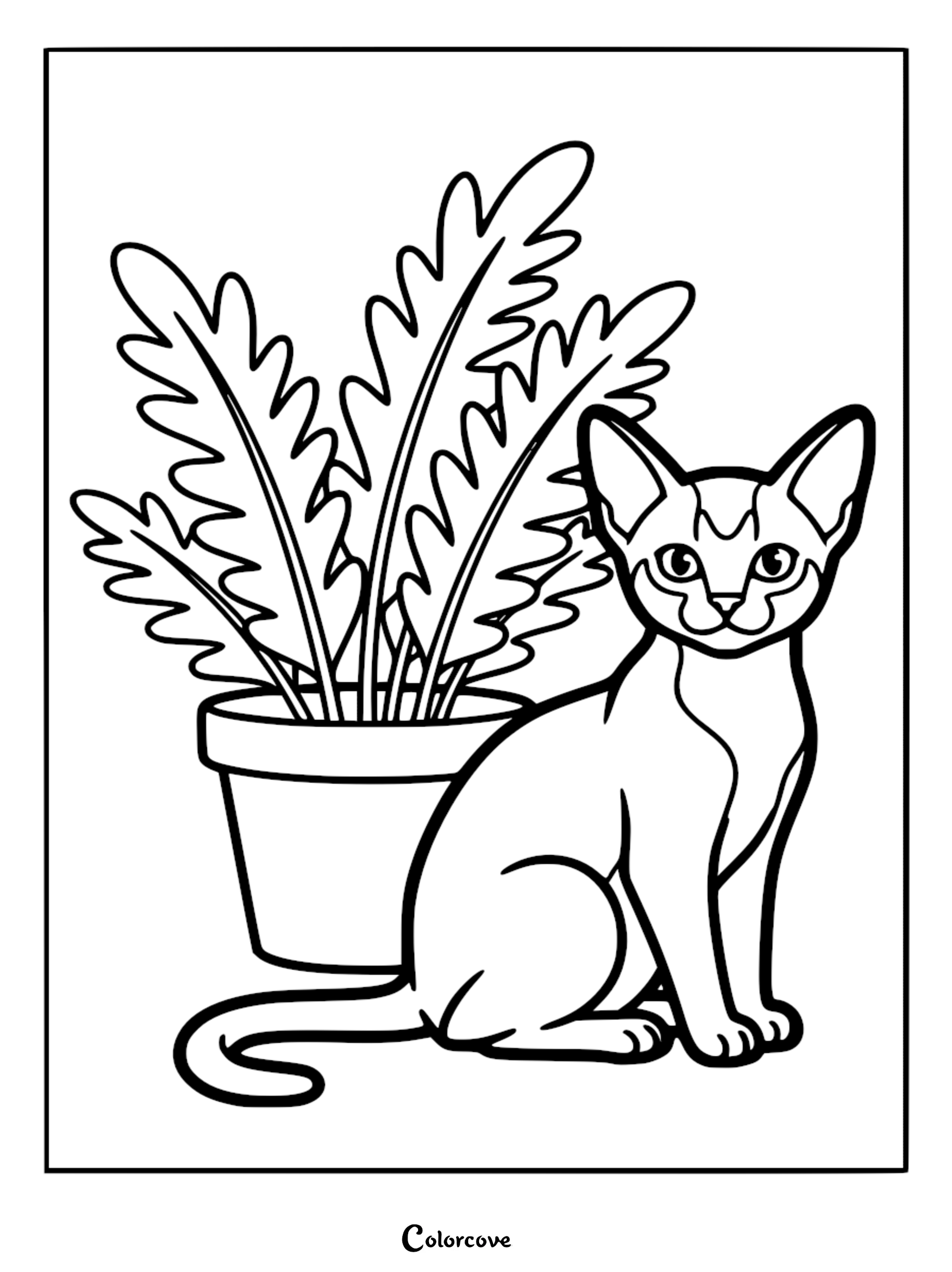 An Abyssinian cat sitting next to a large potted fern in this printable coloring page.