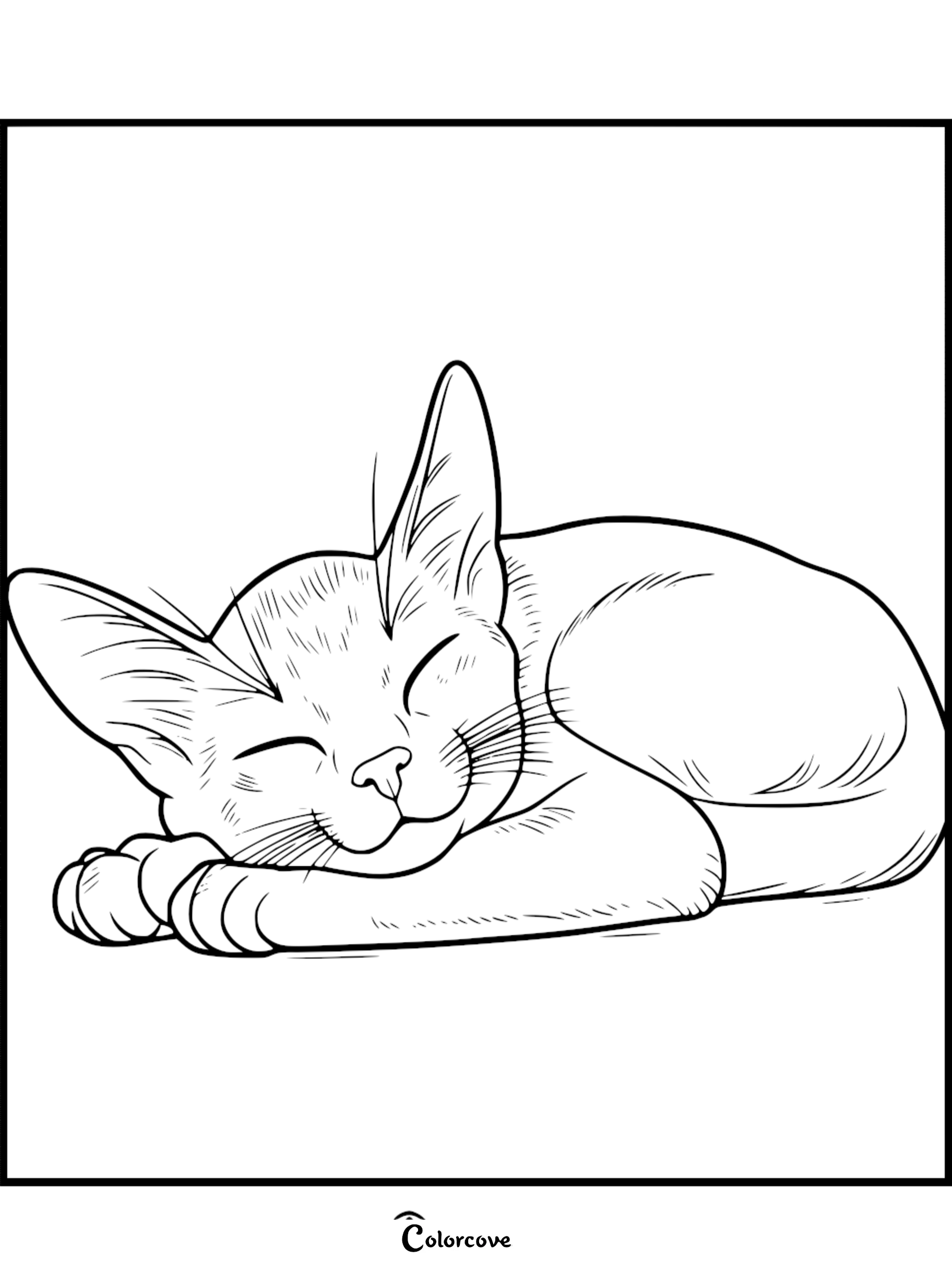 A peaceful Abyssinian cat with large ears curled up sleeping on this printable coloring page.