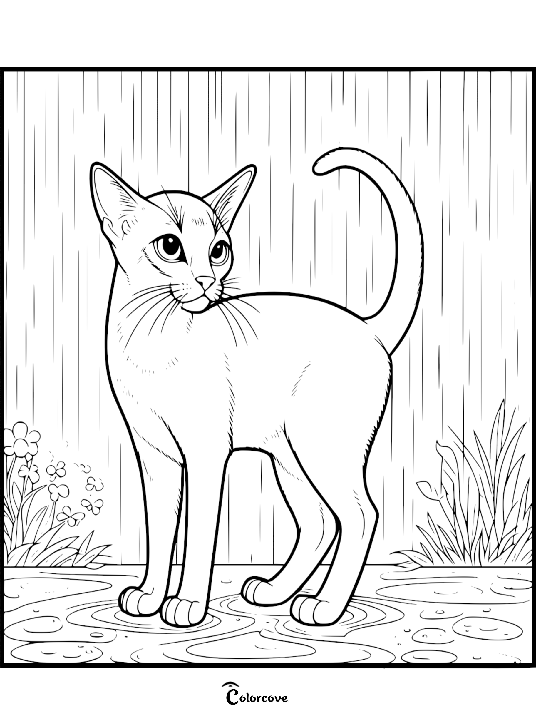 An Abyssinian cat standing in a rain puddle with flowers and grass, line art coloring page.