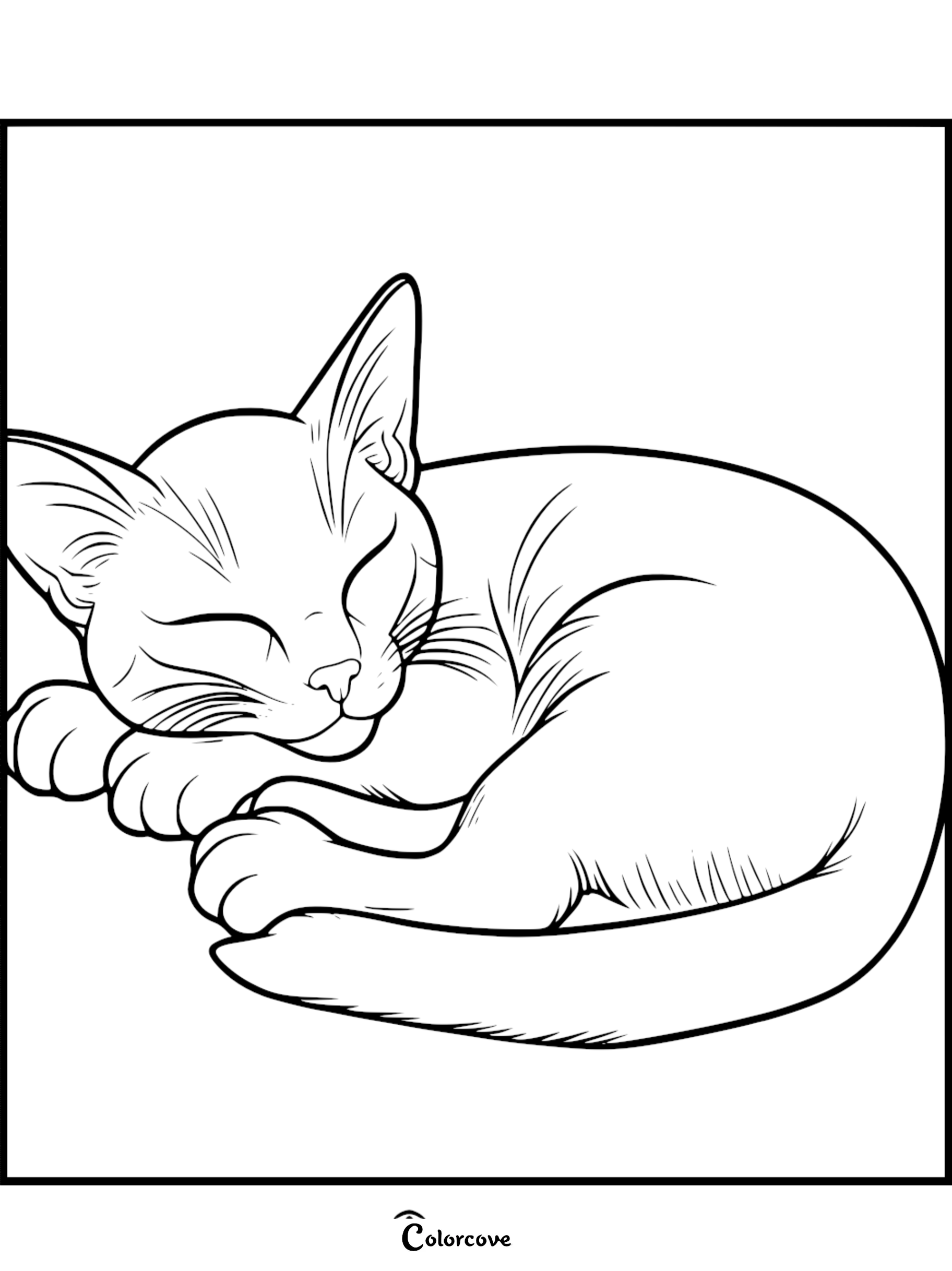 A peaceful Abyssinian cat curled up and sleeping in a simple line art coloring page style.