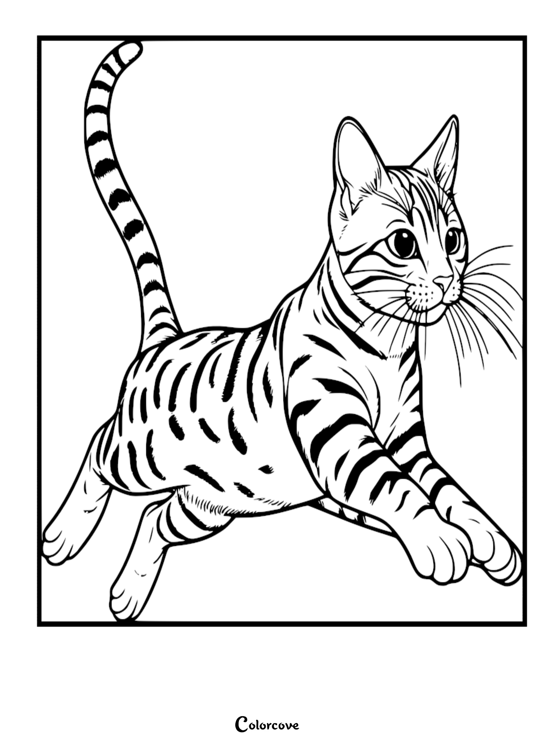 A detailed Bengal cat coloring page featuring a spotted cat leaping with its tail held high.