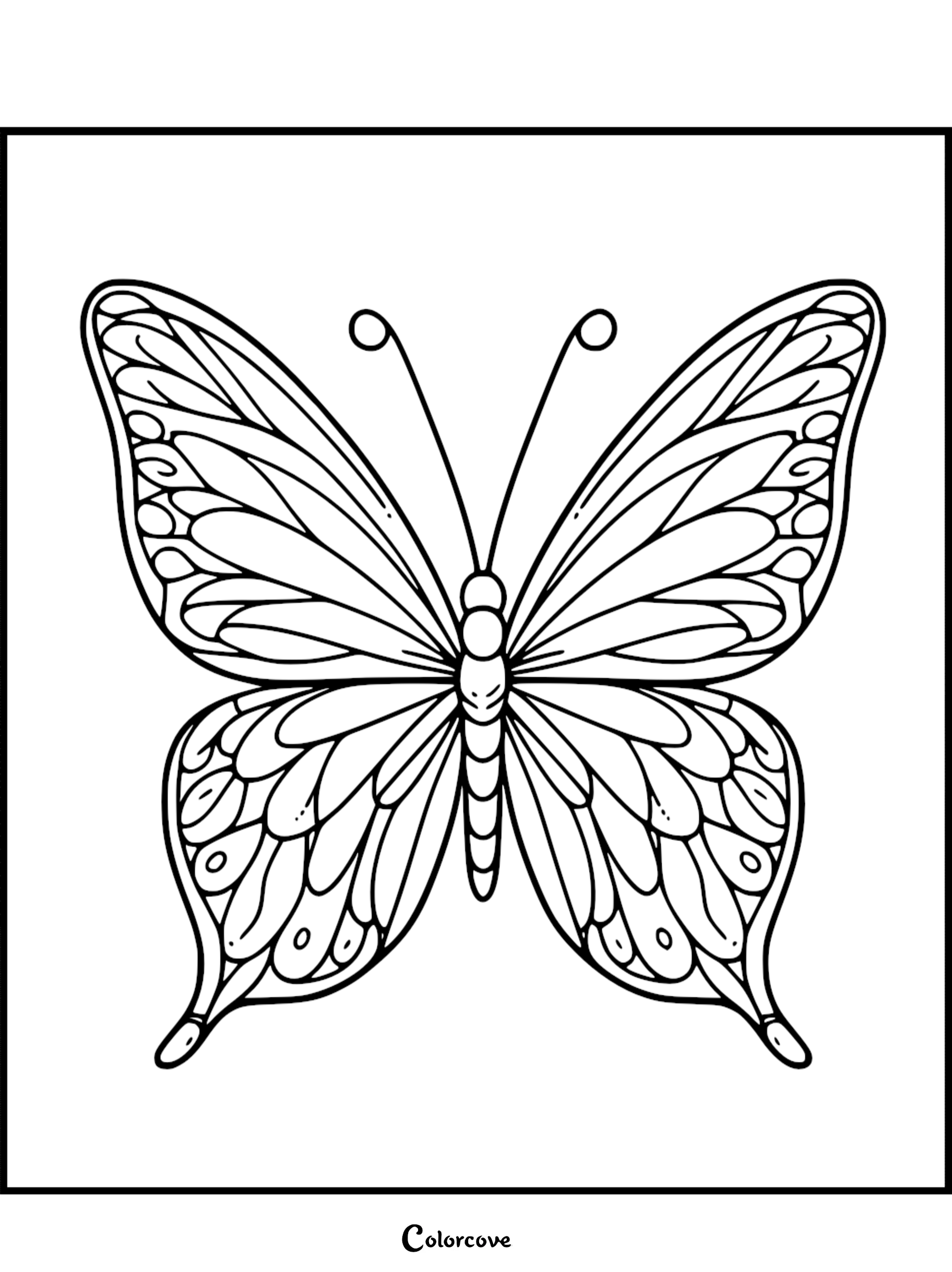 A detailed line art coloring page of a symmetrical butterfly with intricate wing patterns and delicate antennae.