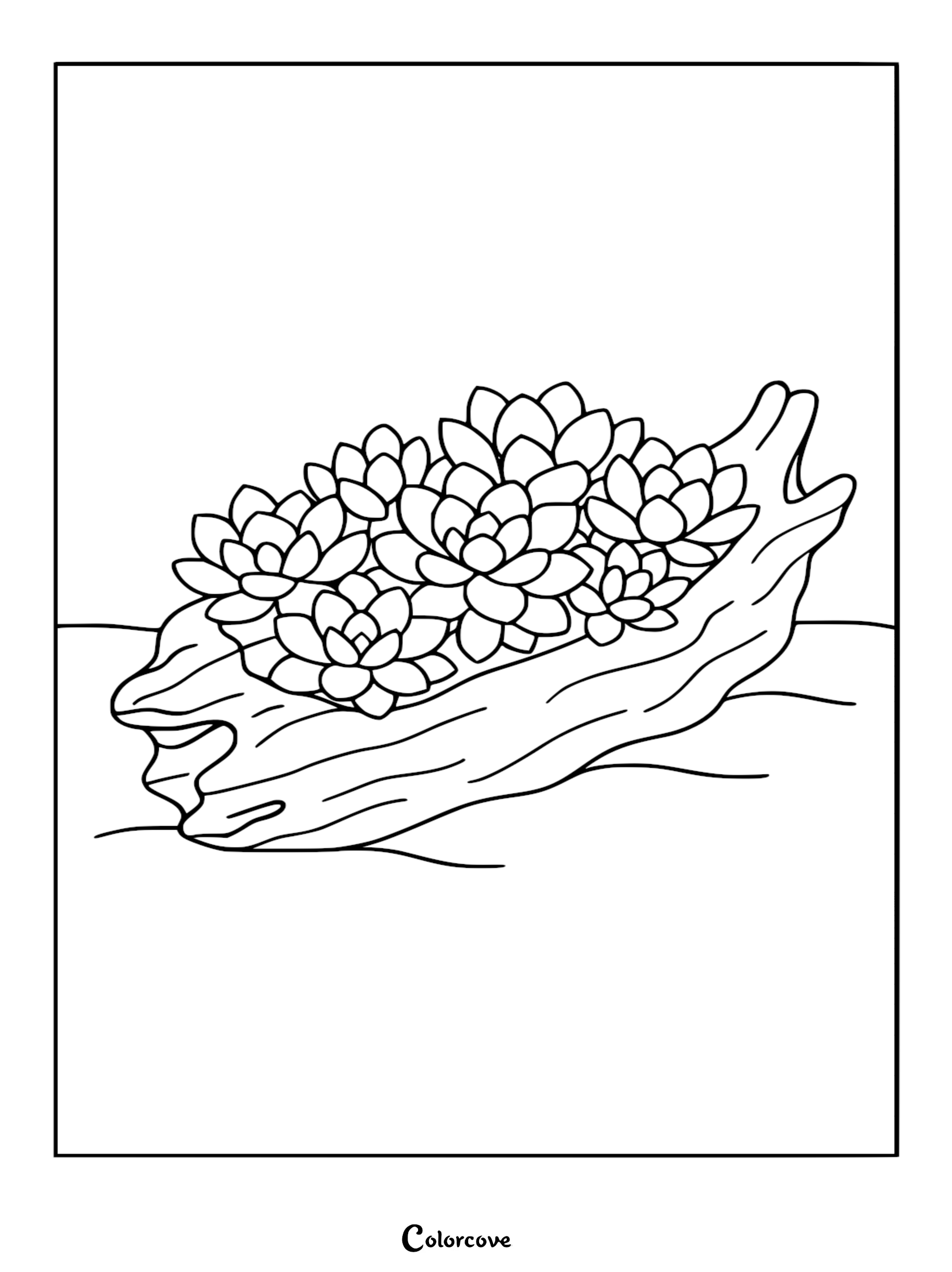 A printable coloring page featuring a cluster of rosette-shaped succulent plants growing out of a hollow piece of textured driftwood.
