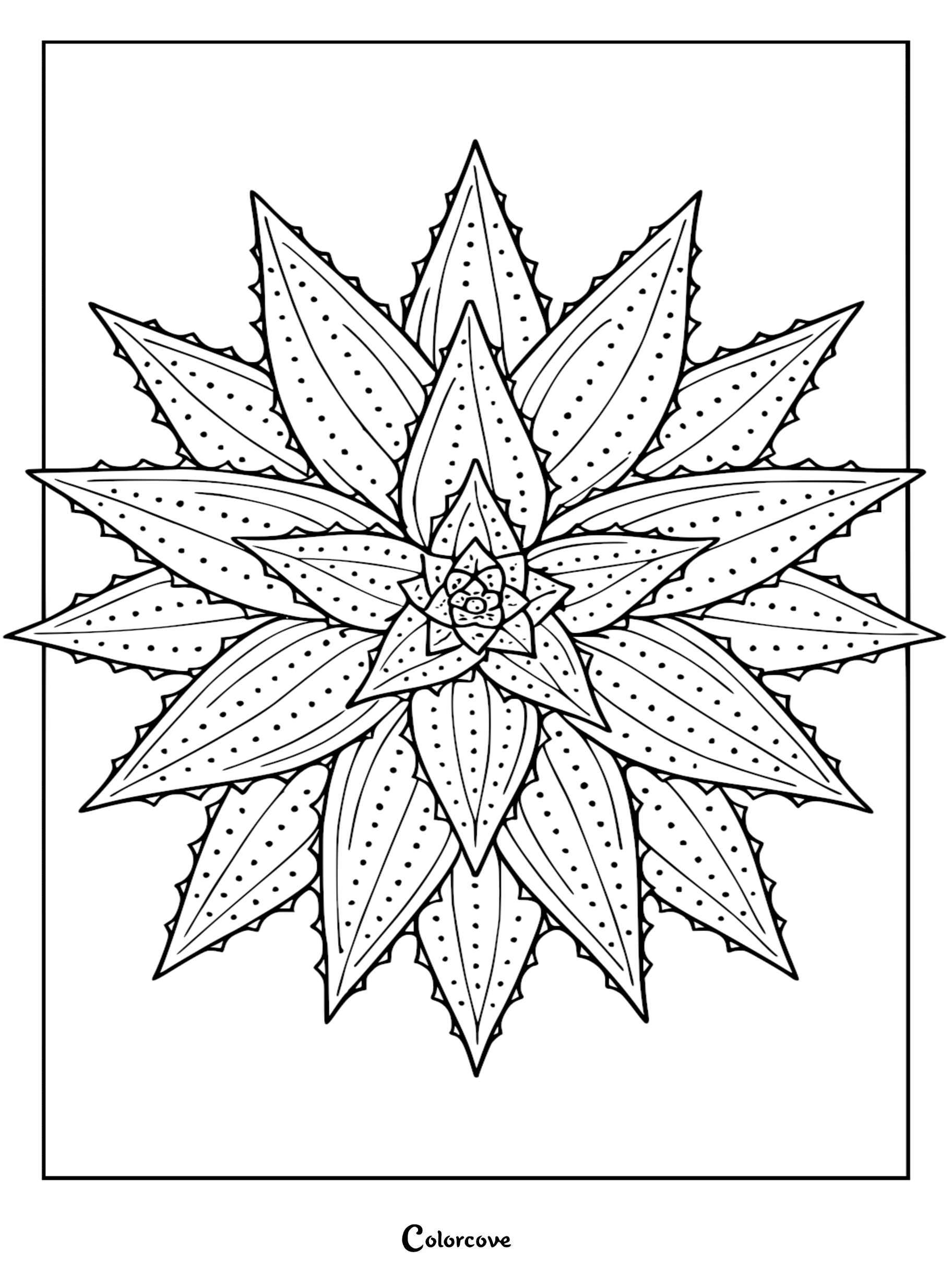 Top-down view of a symmetrical star-shaped succulent cactus with thorny leaves and dotted texture in a printable coloring page format.
