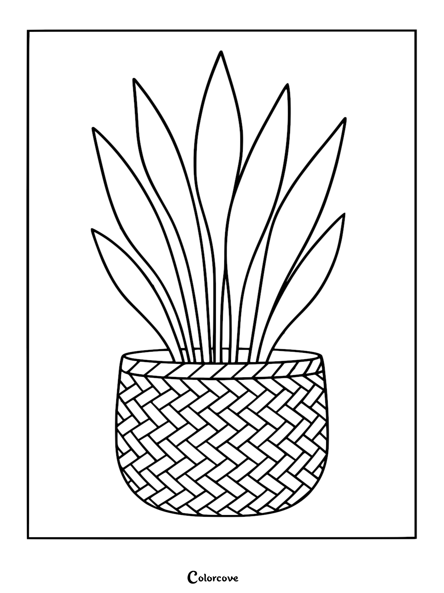A simple line art coloring page of a tall snake plant with elongated leaves sitting in a detailed woven basket planter.