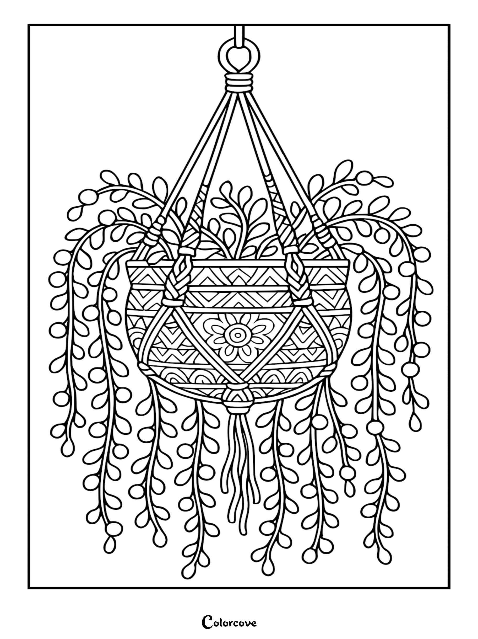 A decorative string of pearls succulent in an intricate patterned macramé hanger coloring page with trailing stems and bead-like leaves.