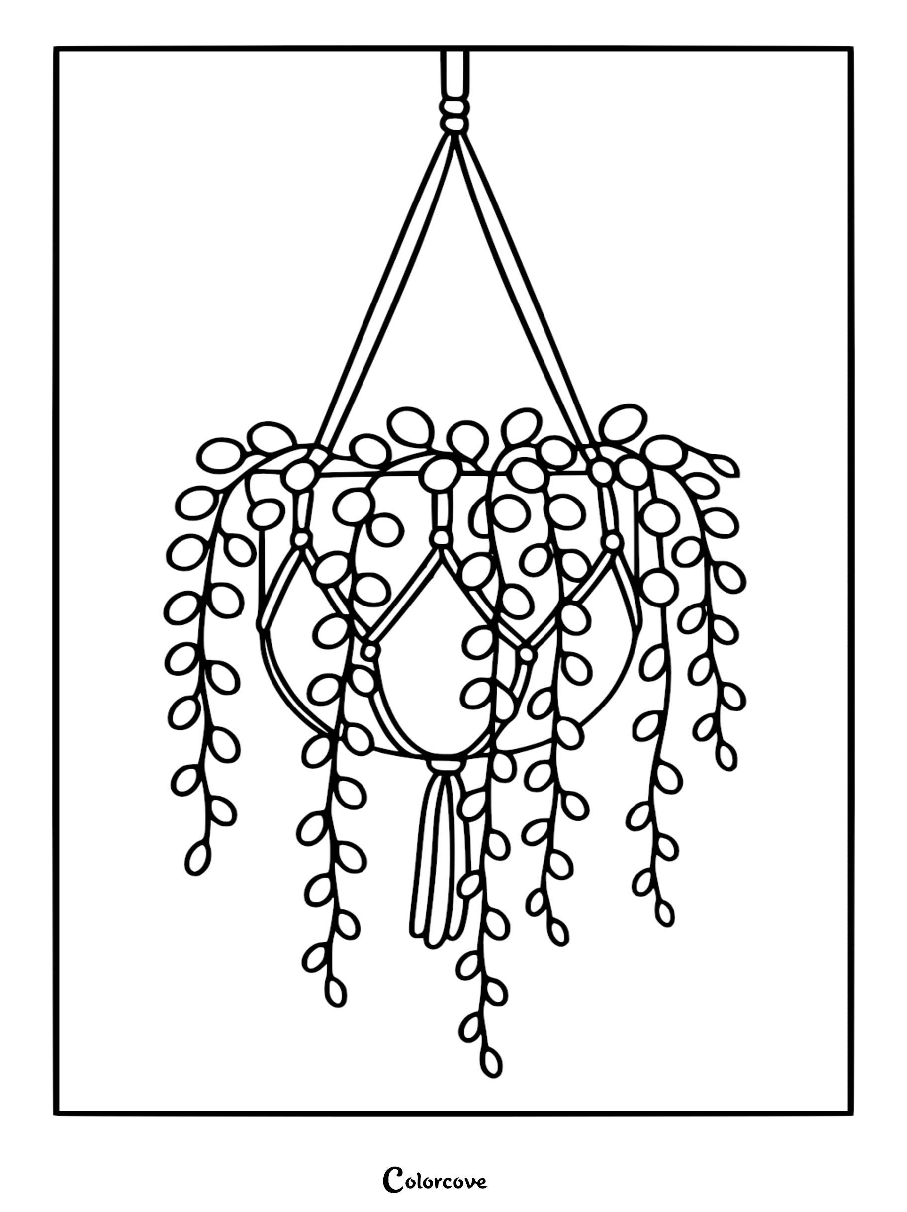 A line art coloring page of a string of pearls succulent plant cascading from a macrame plant hanger.