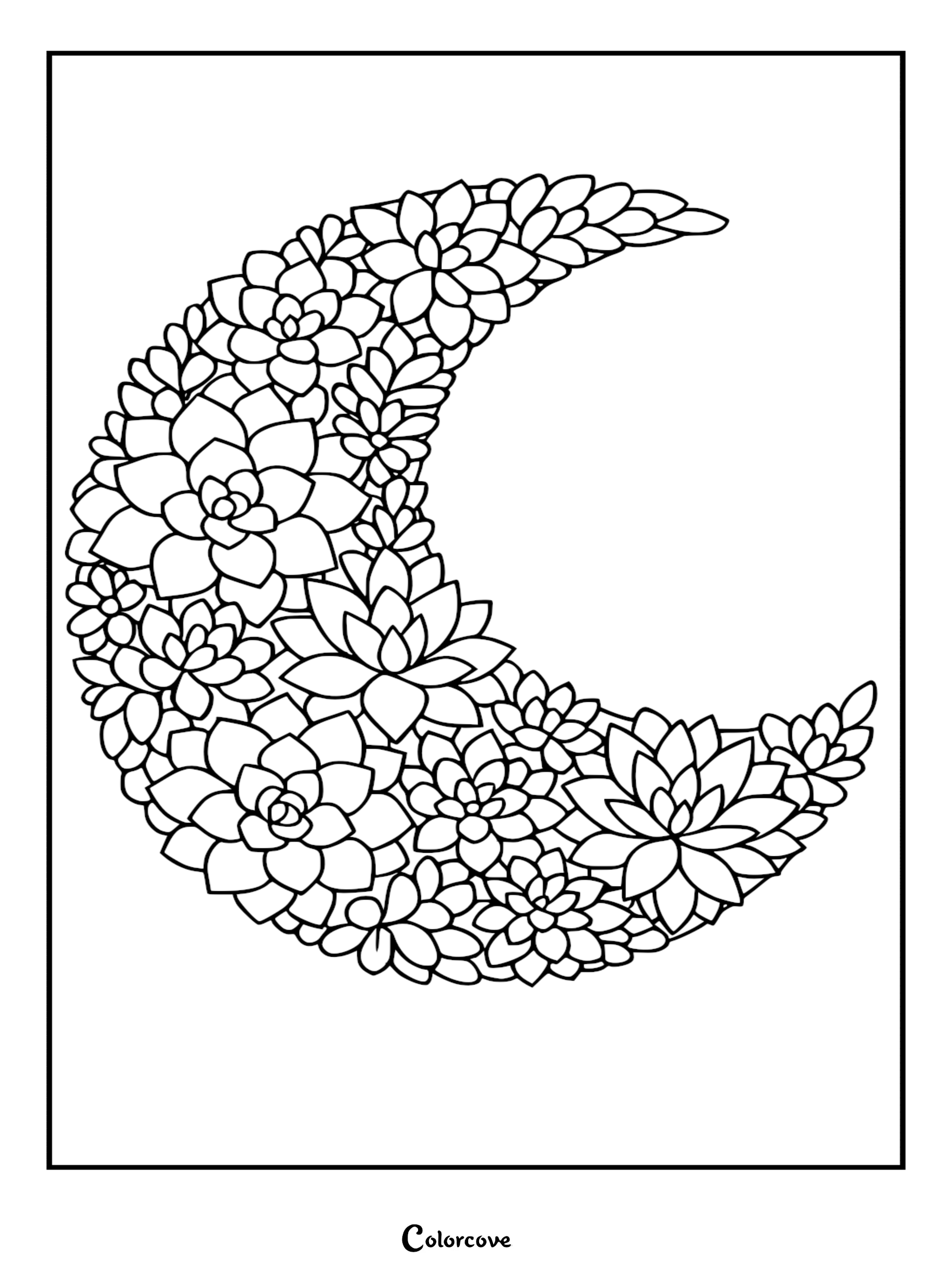 A crescent moon shaped coloring page filled with intricate line art of various succulent plants and cacti.