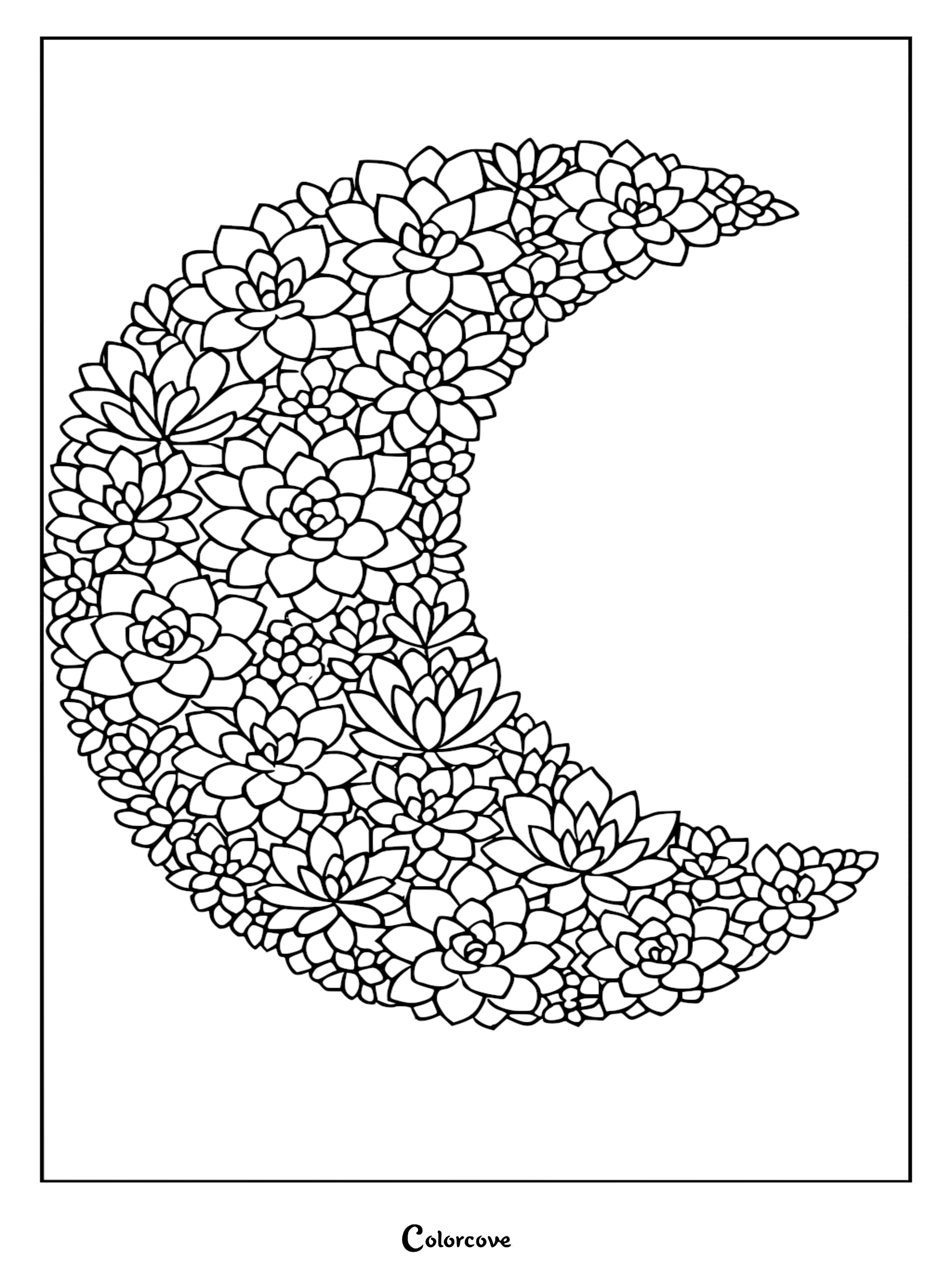 Crescent moon shaped arrangement of various succulent and cactus plants, intricate black and white line art coloring page.