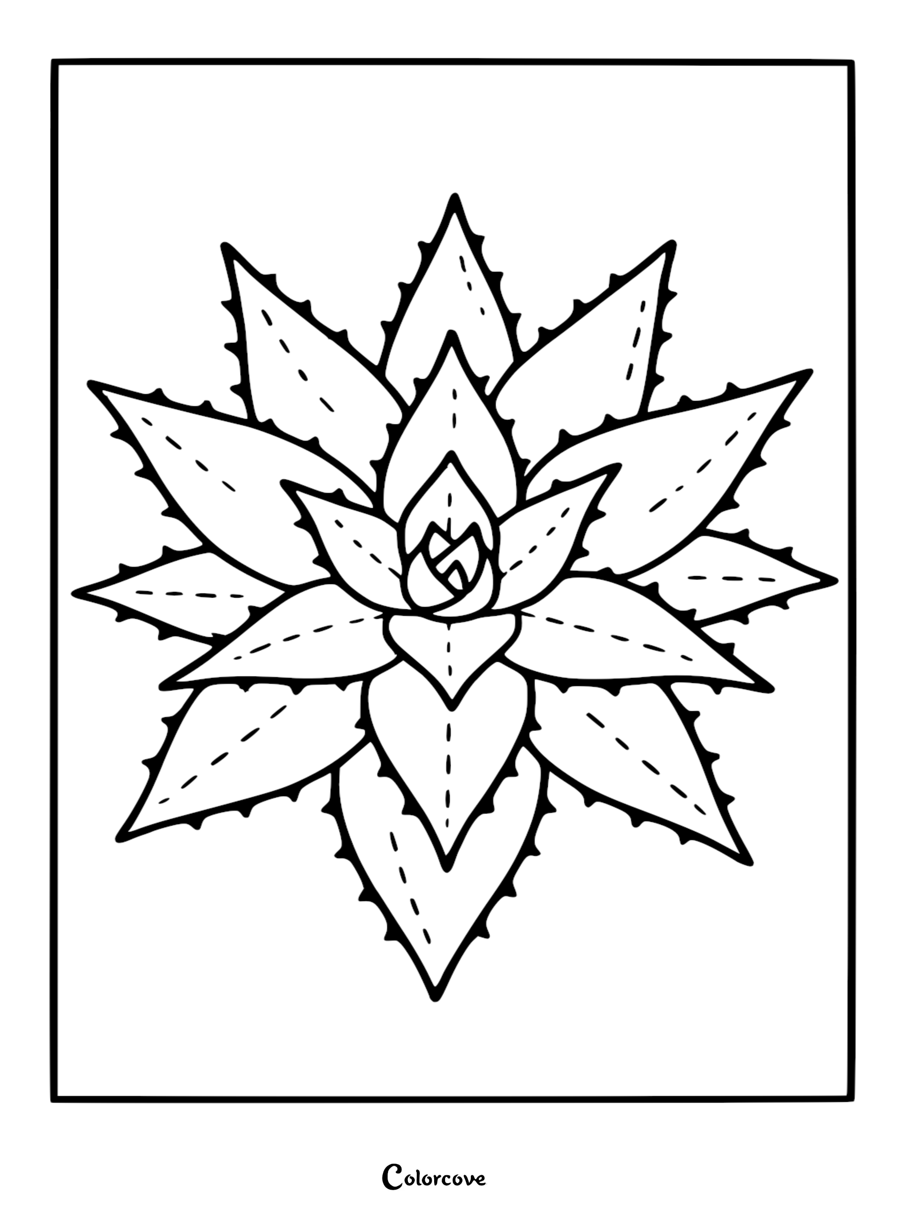 Top-down view of a symmetrical aloe vera plant with jagged, spiky leaves on this printable coloring page.