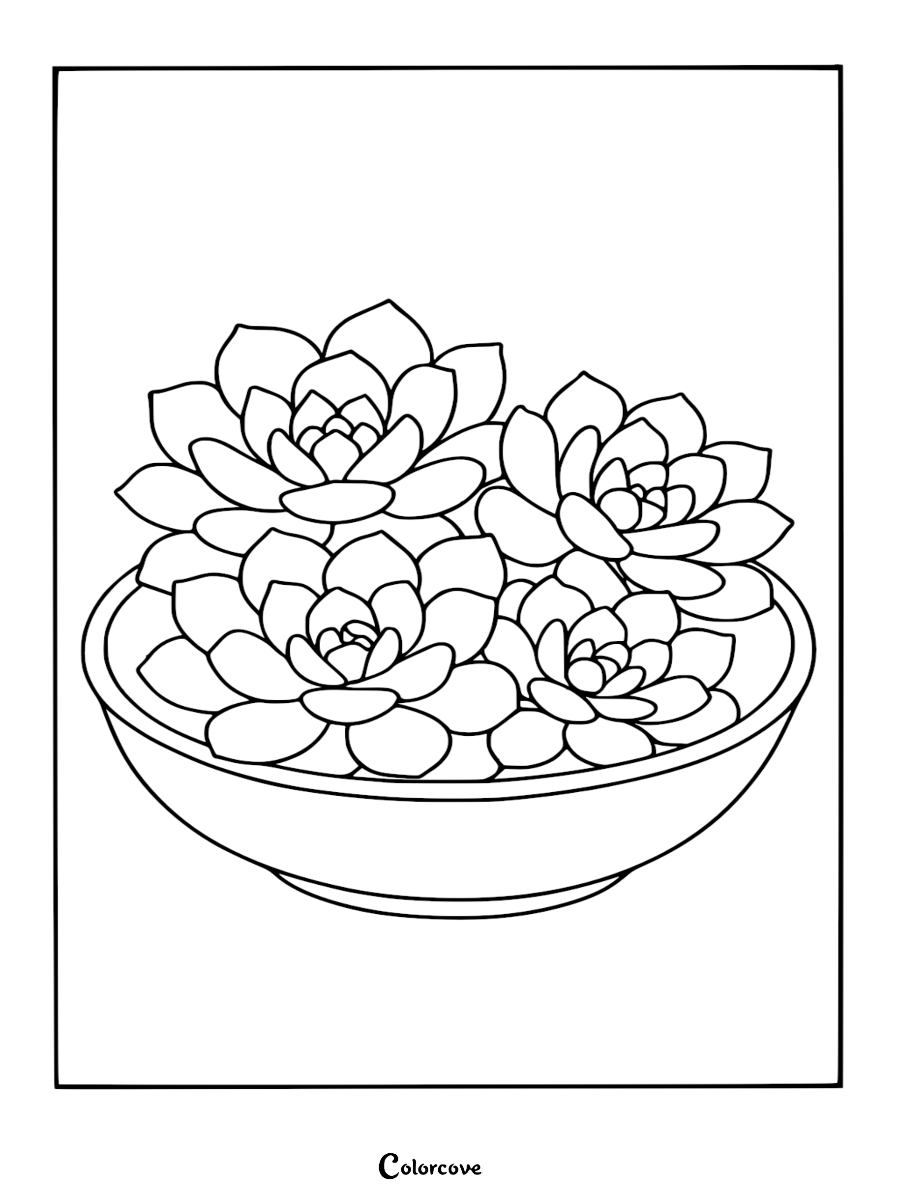 A simple black and white coloring page featuring a collection of four rosette-shaped succulent cactus plants arranged in a round decorative bowl.