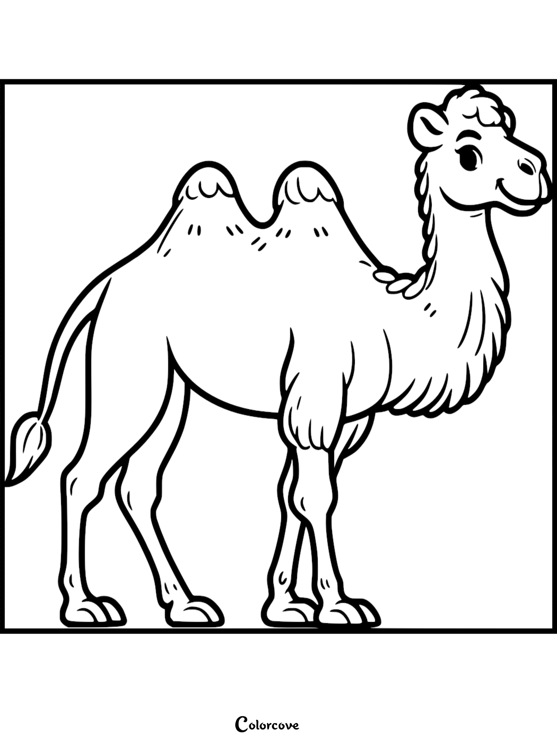 A cute, printable Bactrian camel coloring page featuring a friendly two-humped desert animal for kids.