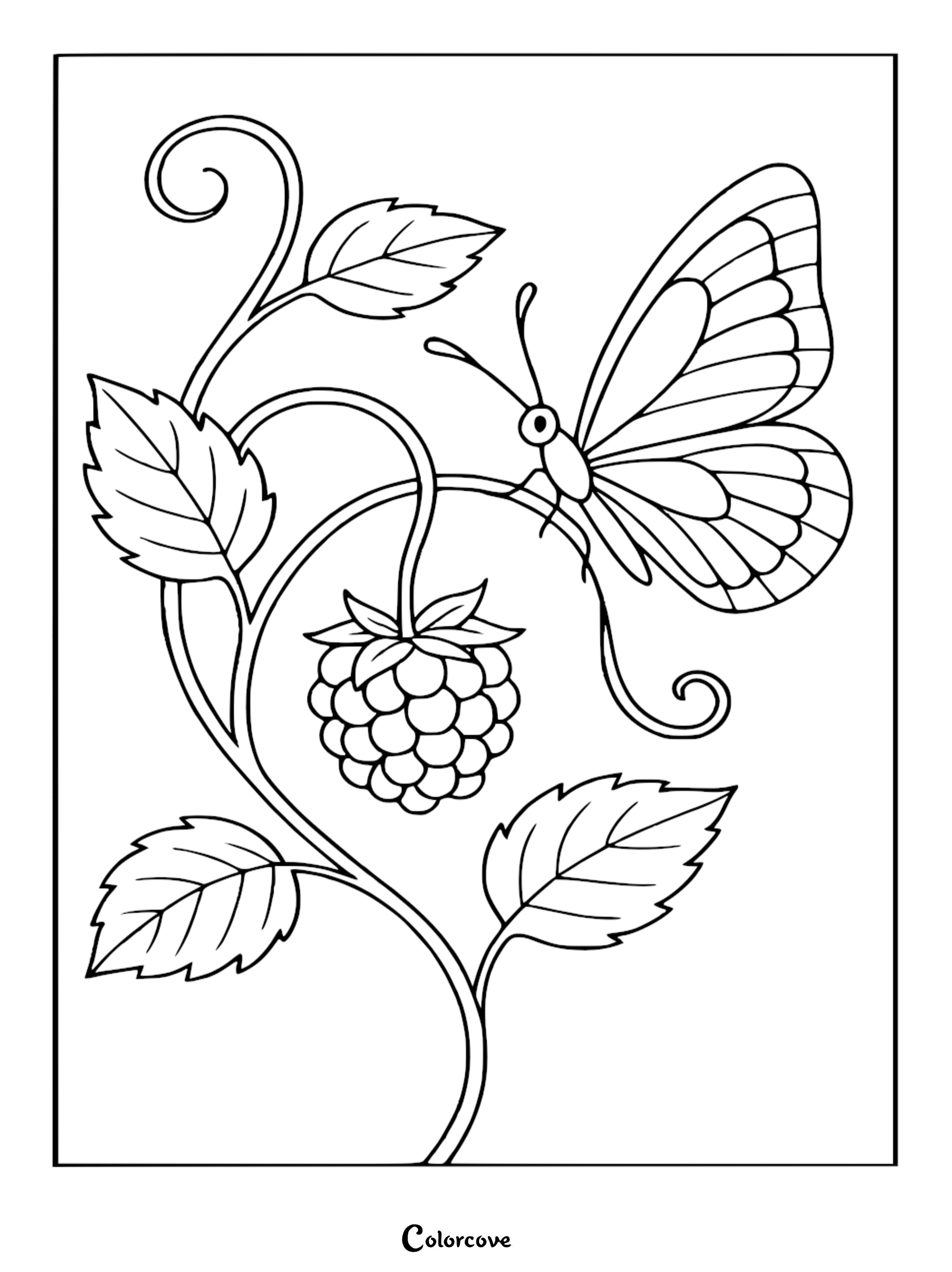 A cozy butterfly perched on a vine with a ripe raspberry in this free printable coloring page.