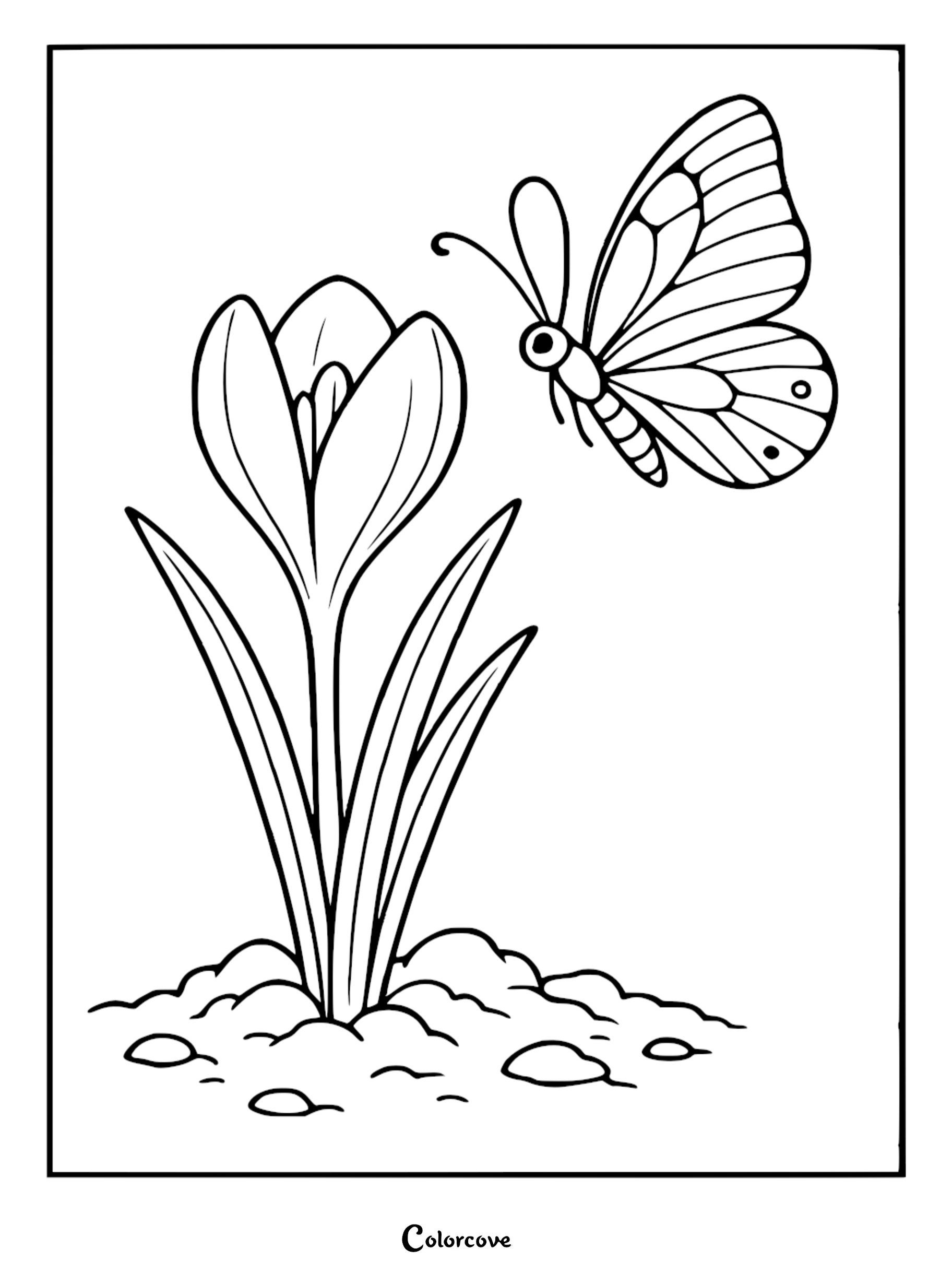 A cozy butterfly hovering near a blooming crocus flower in this printable coloring page.
