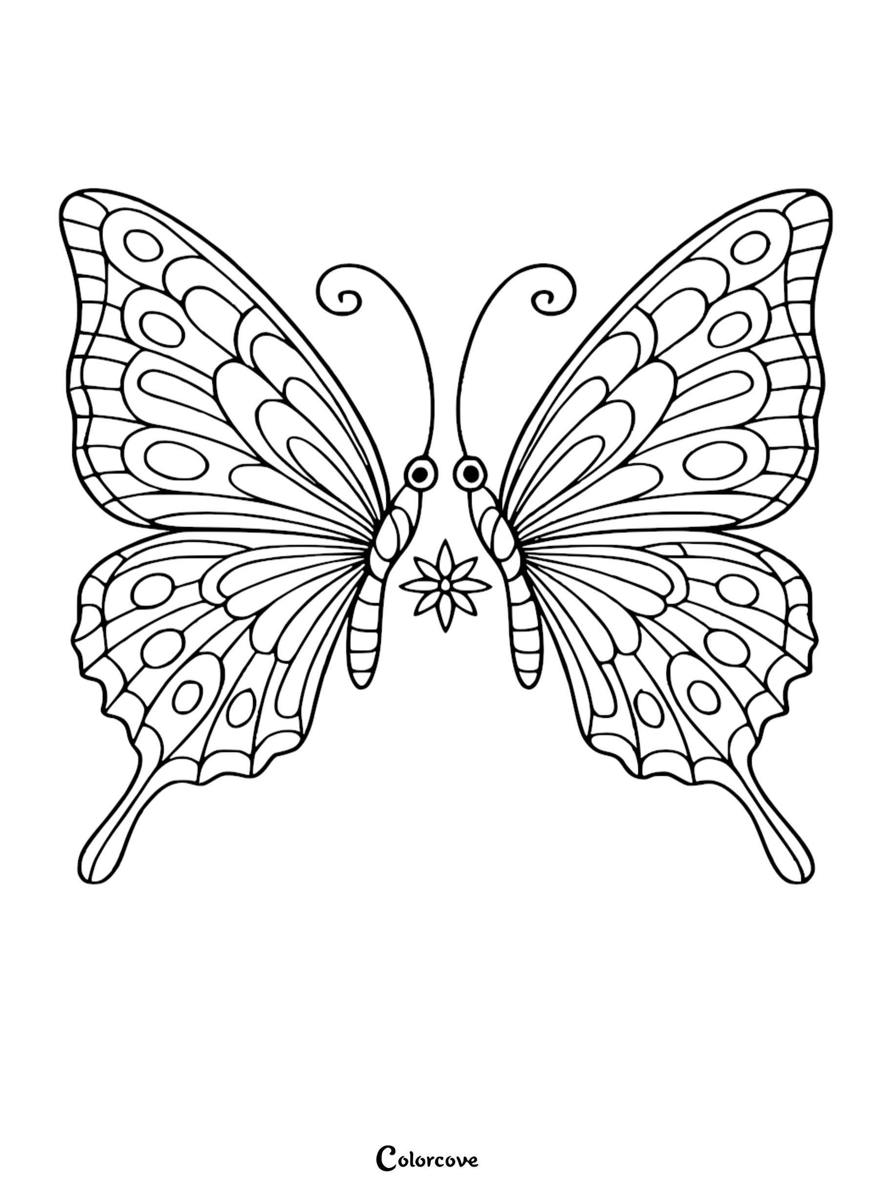 Two symmetrical butterflies facing a small flower in a cozy butterfly coloring page printable.