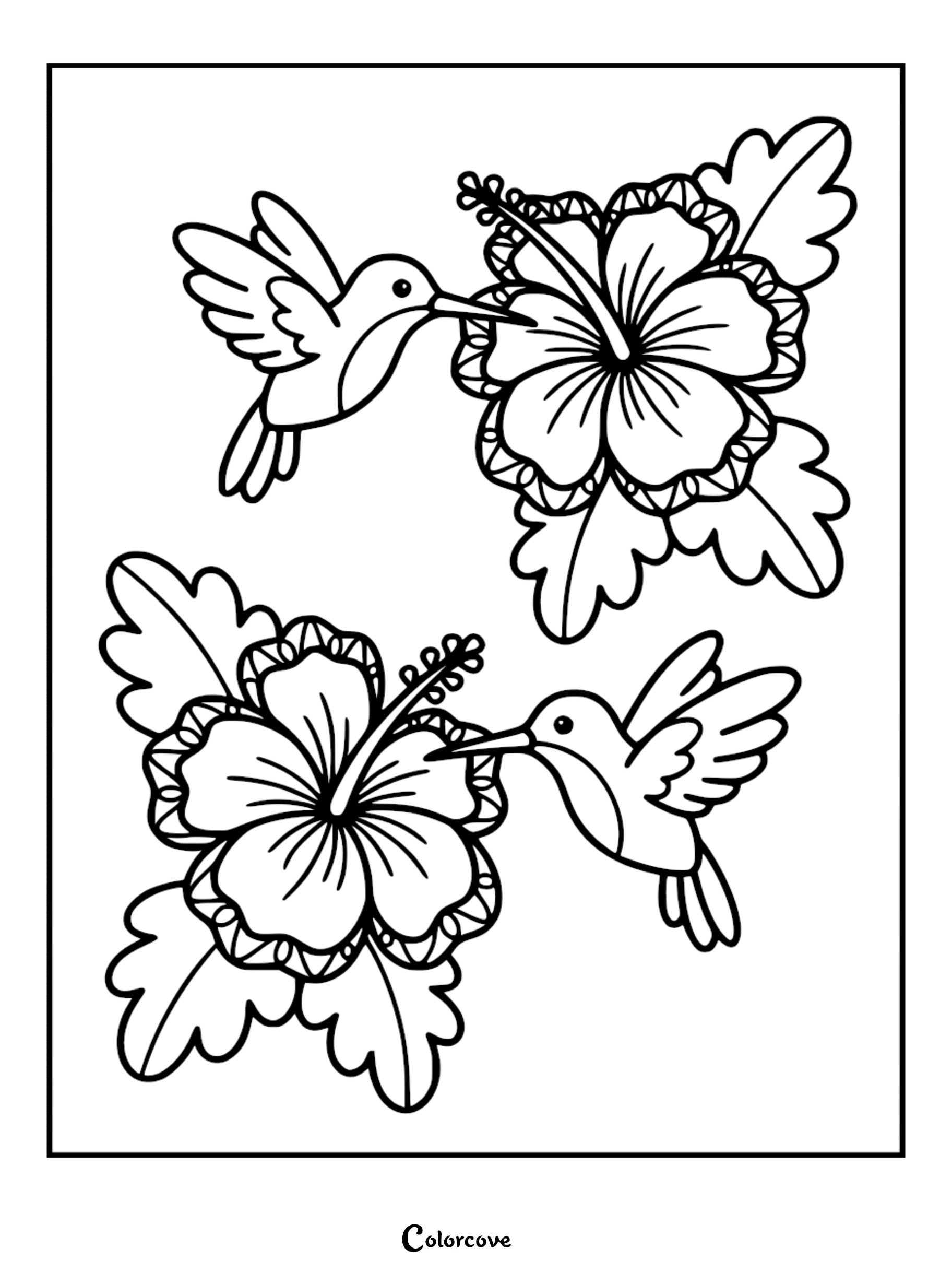 A detailed cute bird coloring page showing two hummingbirds hovering near large hibiscus flowers with intricate patterns and long stamens.