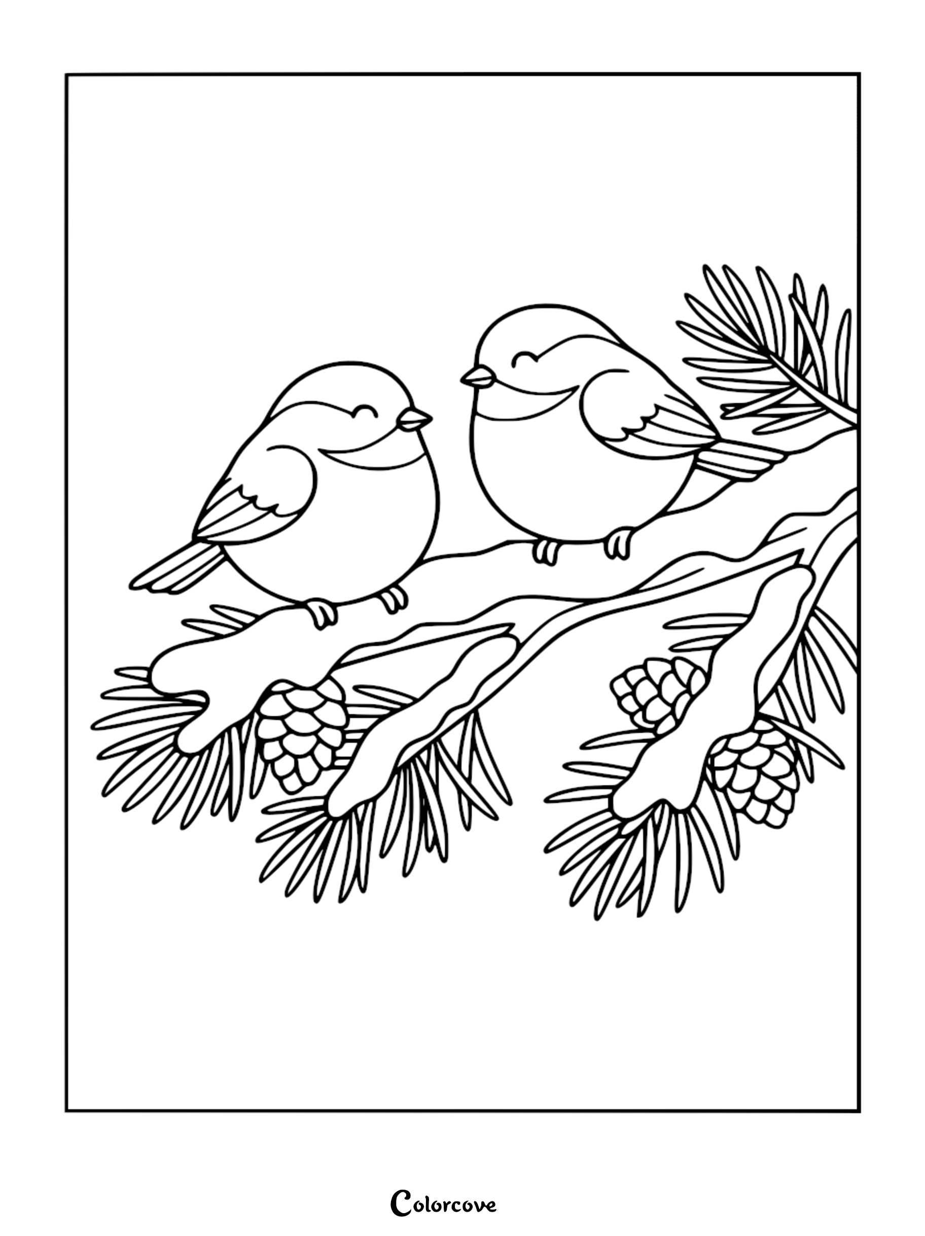 Black and white coloring page featuring two round, chubby birds perching on a snow-topped pine branch with needles and pinecones.
