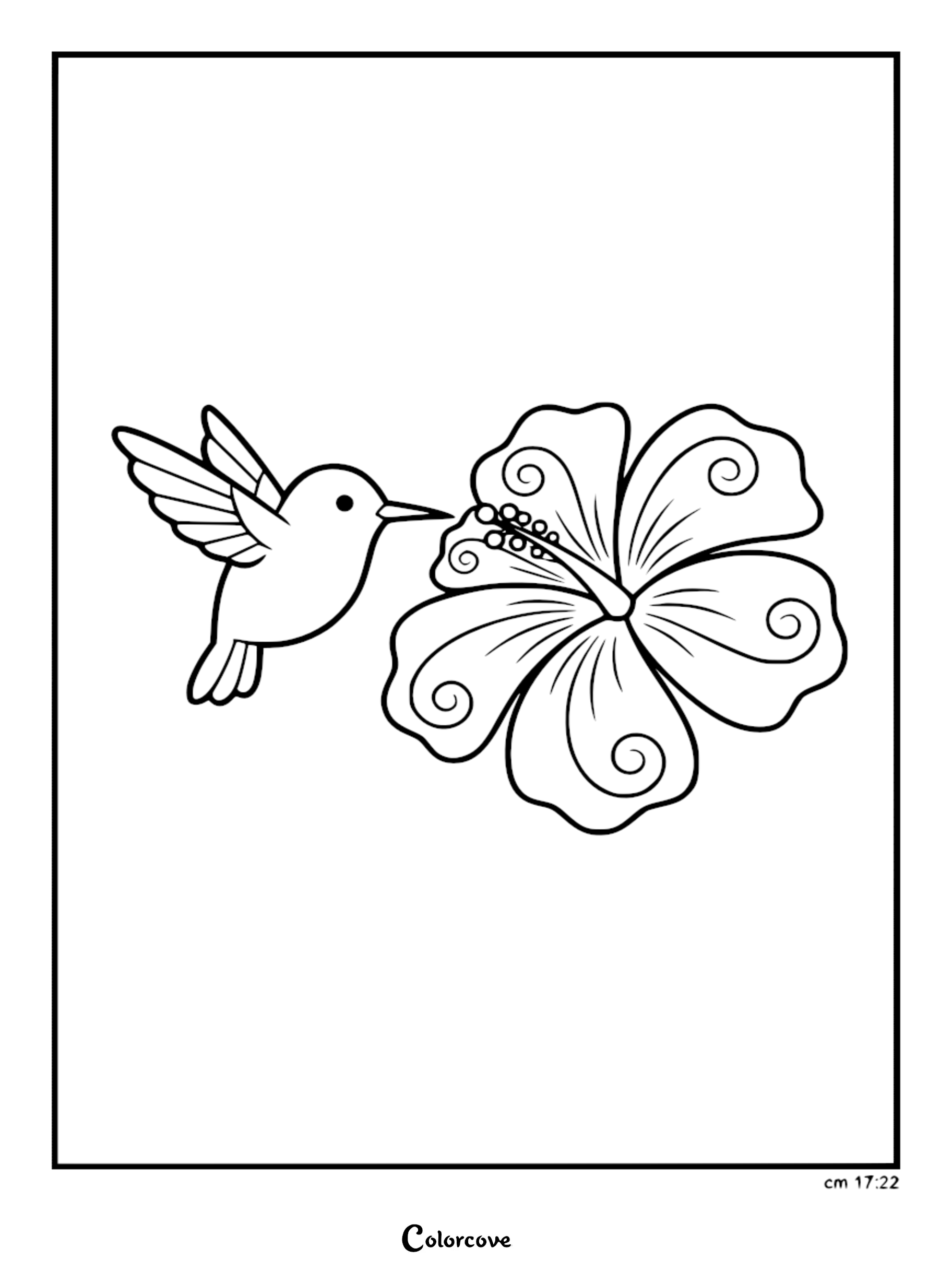 A detailed line art coloring page of a cute hummingbird with outspread wings hovering near a large tropical hibiscus flower.