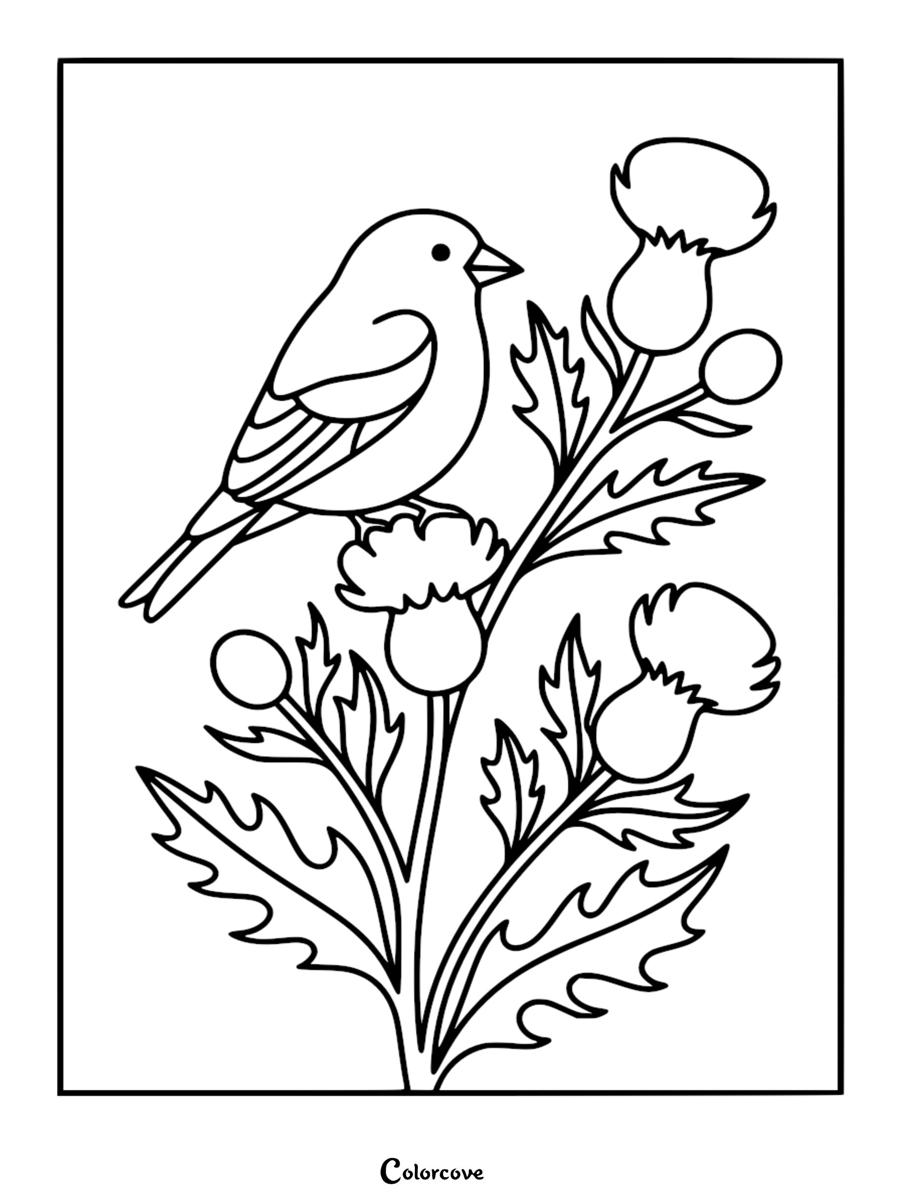 Detailed line art coloring page of a small bird perched on a tall thistle plant with jagged leaves and rounded flower buds.
