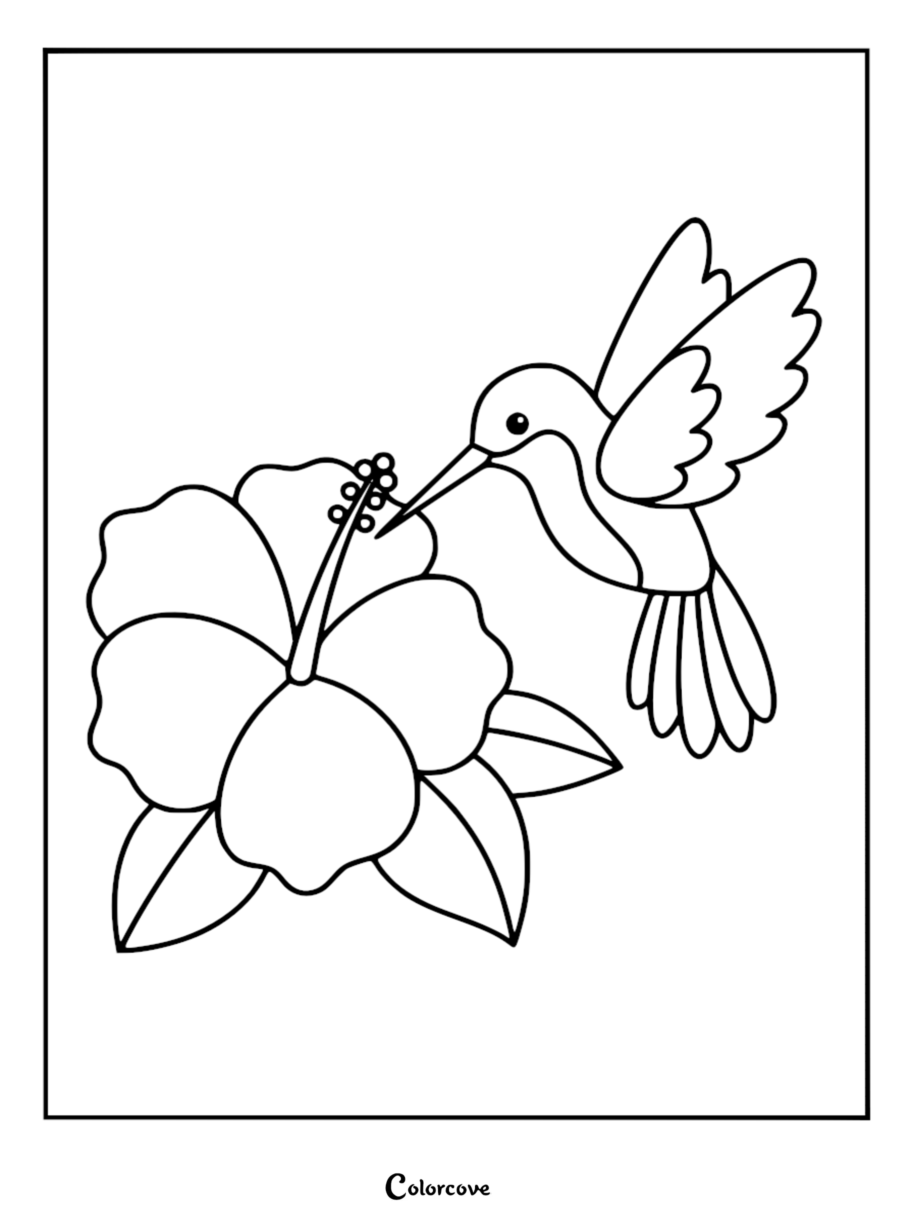 Hummingbird coloring page featuring a bird with outstretched wings hovering above a large hibiscus flower with a long stamen.