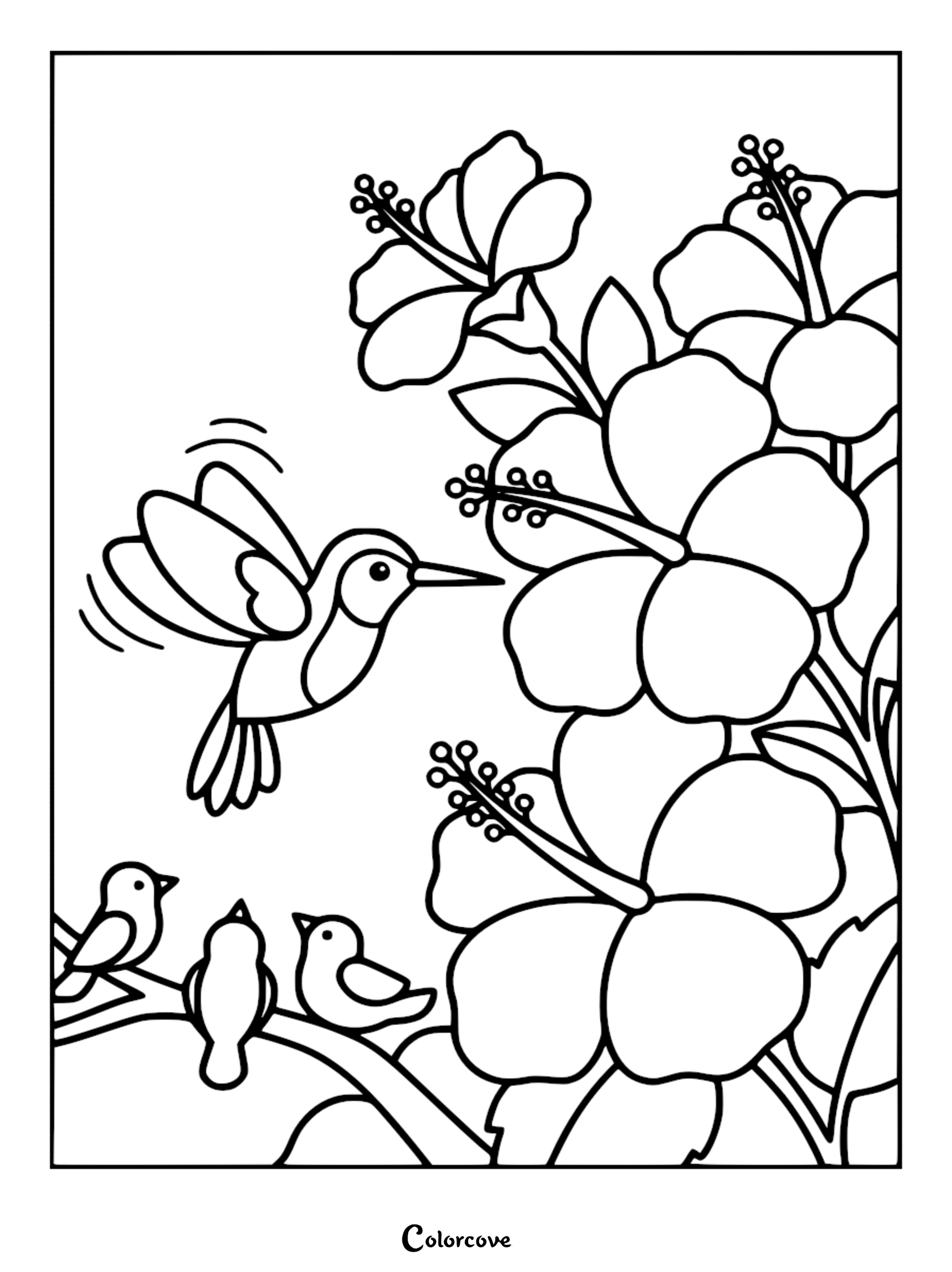 A detailed line art coloring page featuring a tiny hummingbird hovering near large blooming hibiscus flowers and three small birds on a branch.