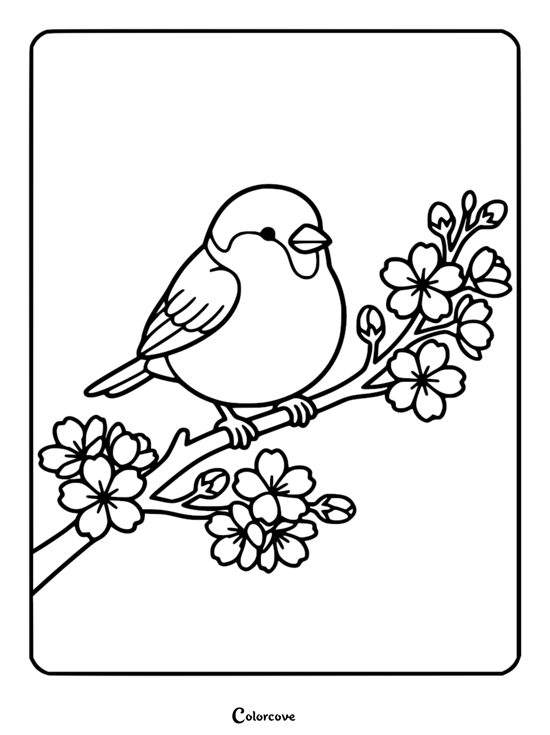 Simple line art coloring page showing a cute chubby bird perched on a branch with blooming flowers and buds.