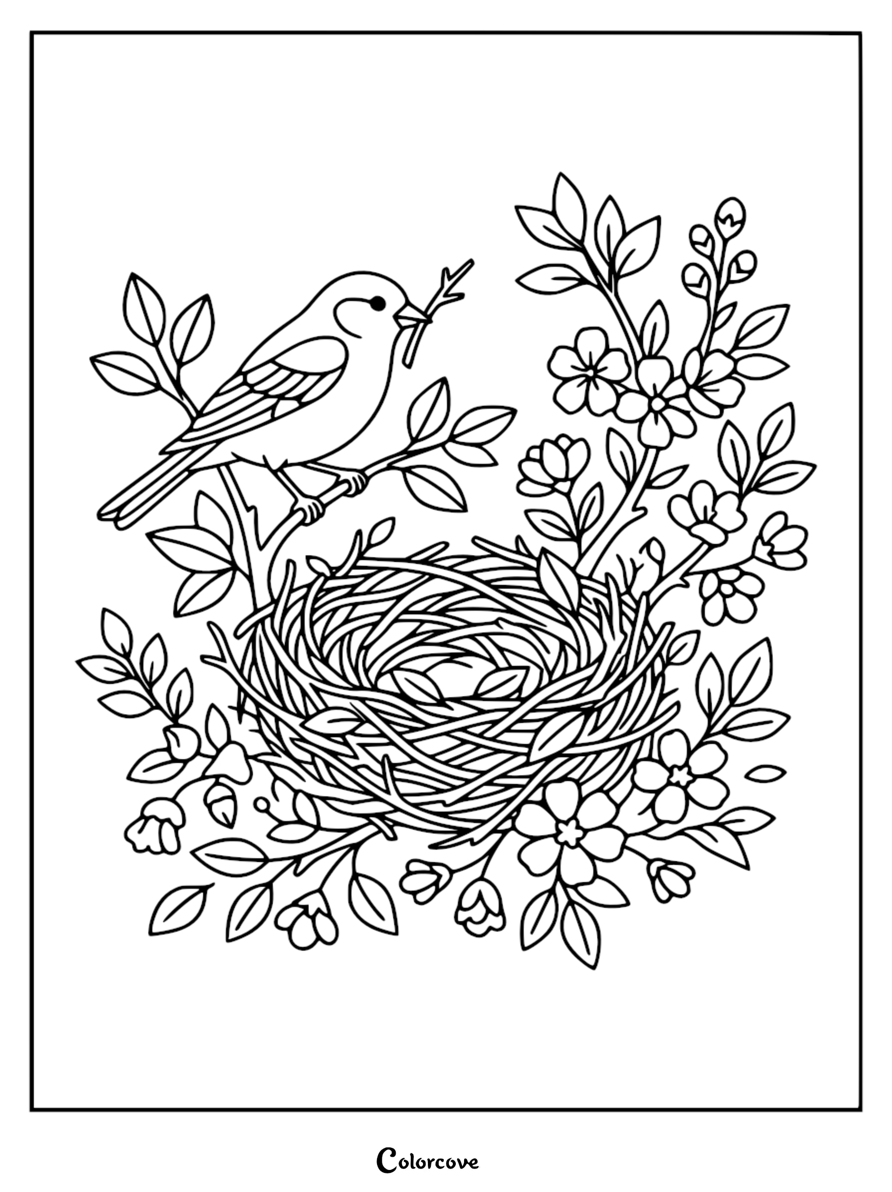 Intricate line art coloring page of a cute bird with a twig in its beak, perched on a flowering branch above a detailed woven nest and spring blossoms.
