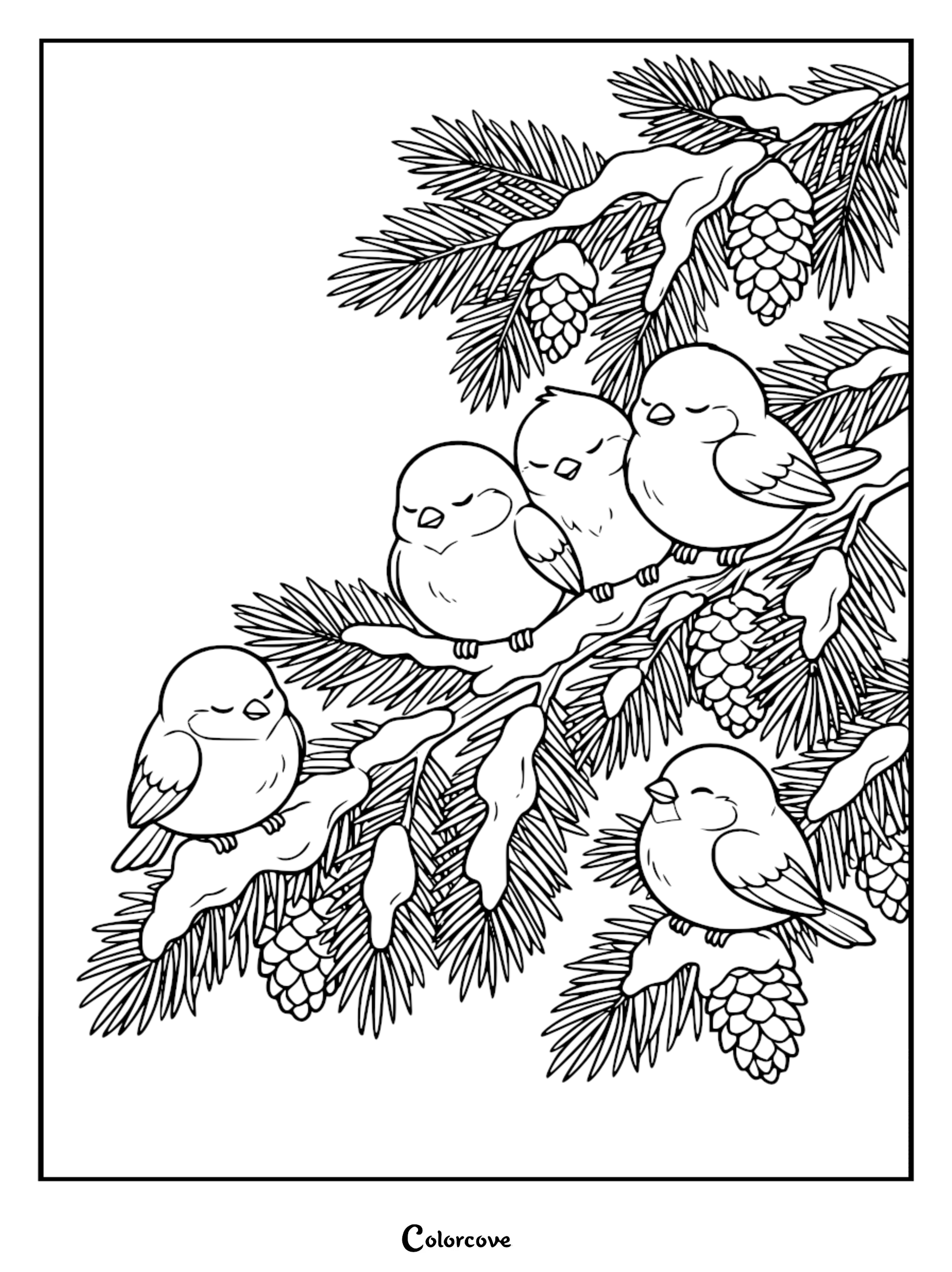 A detailed winter scene coloring page featuring five round little birds perched on snow-covered pine branches with pinecones.