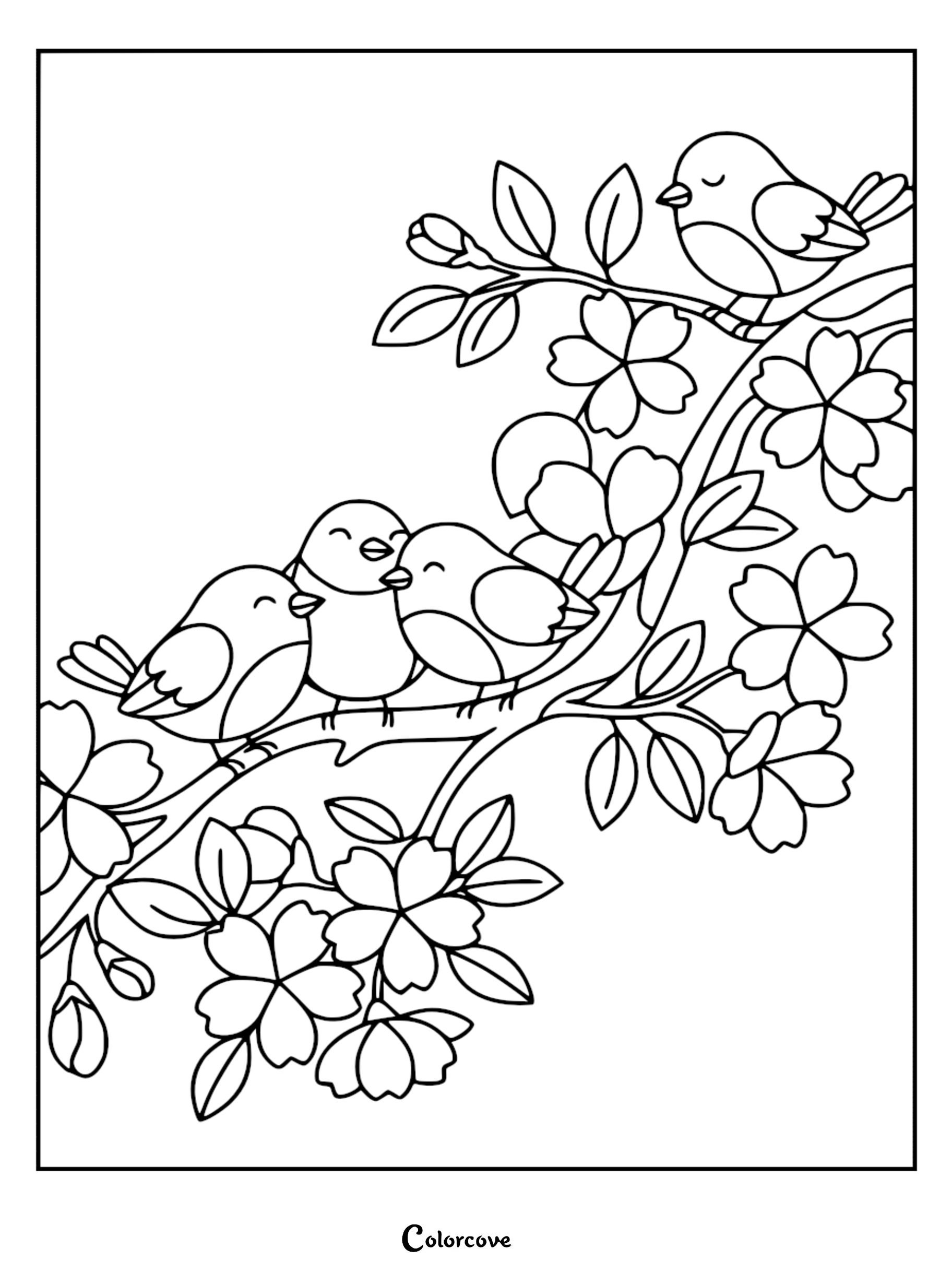 A detailed coloring page of four cute, round birds perched among cherry blossoms and leaves on a tree branch.