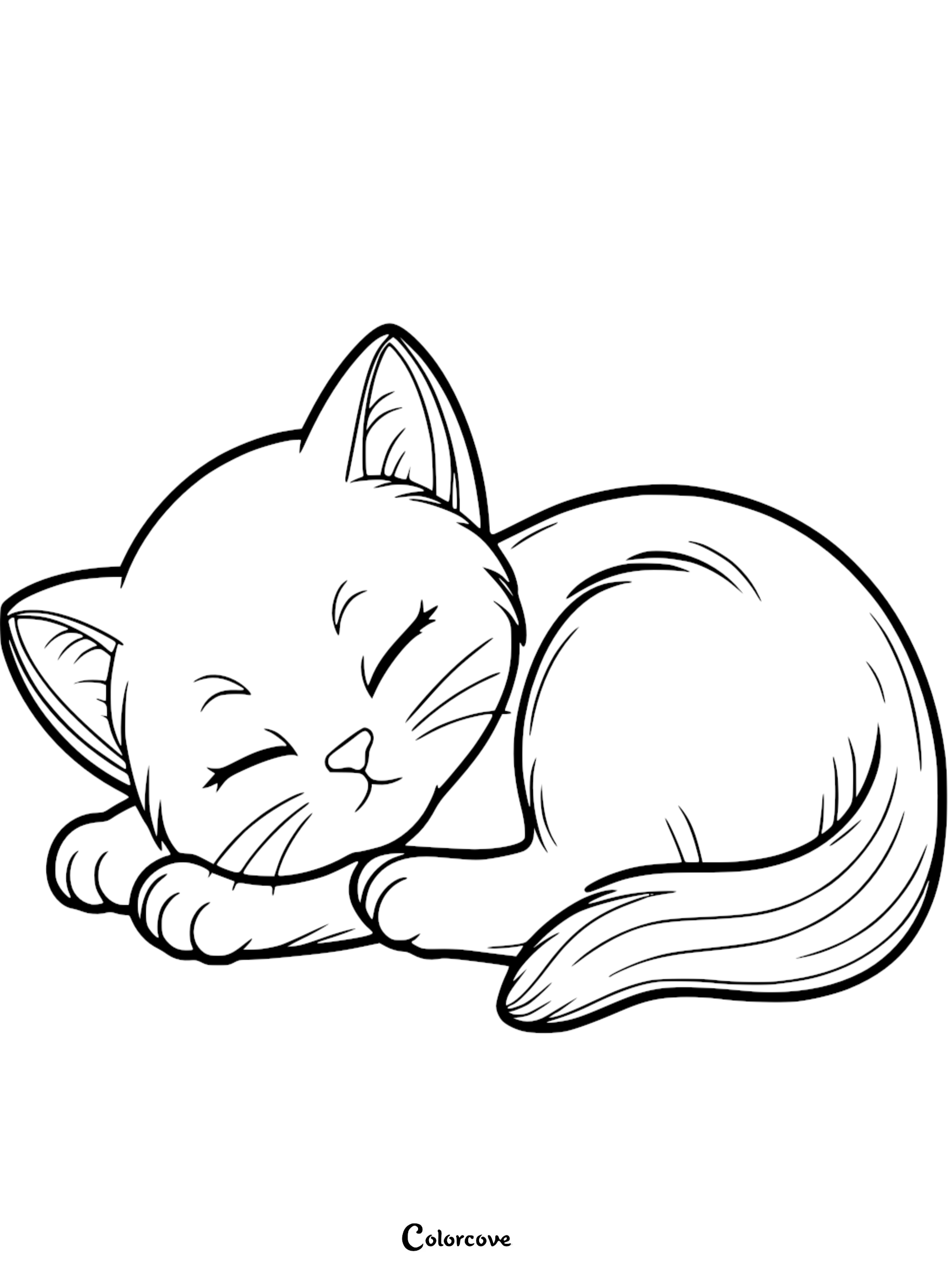 A simple and cute sleeping kitten coloring page for kids, showing a curled-up baby cat with closed eyes and whiskers.
