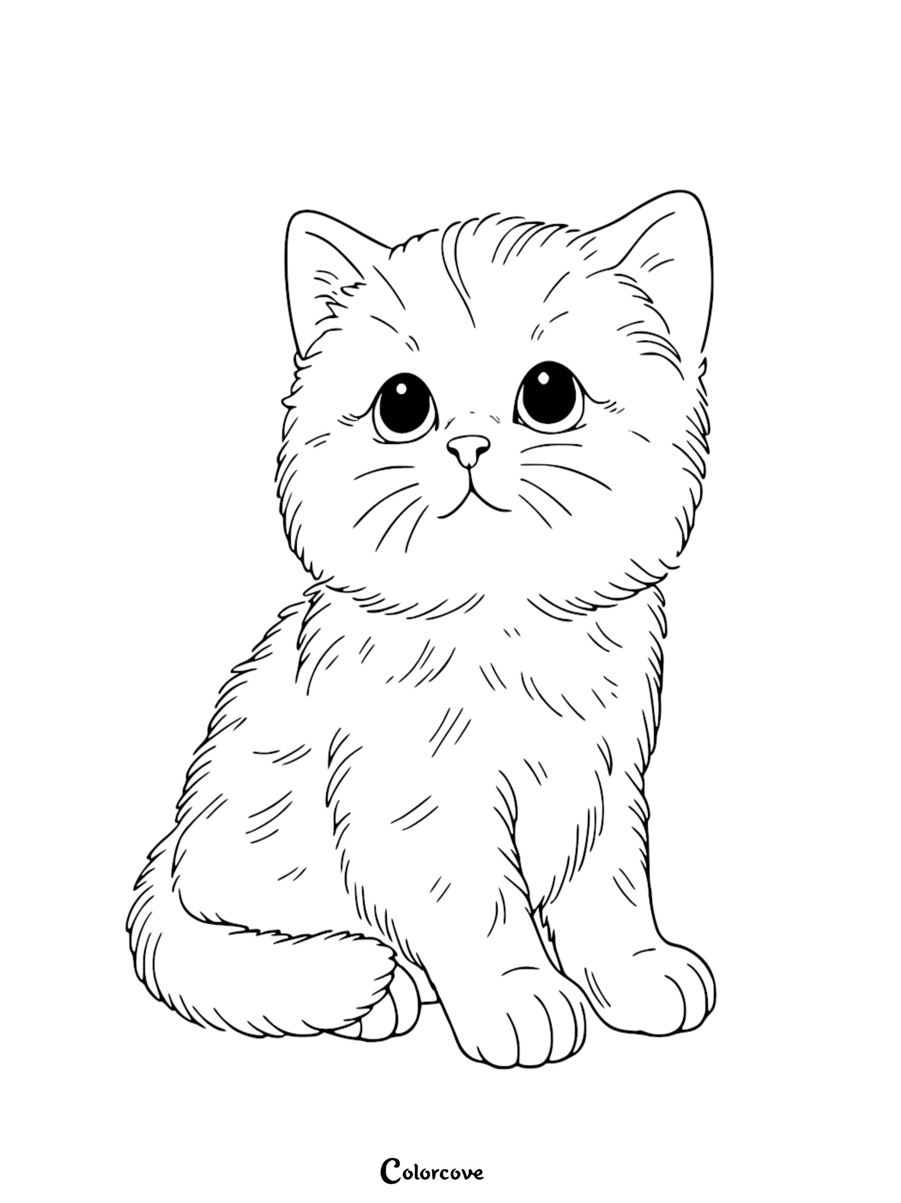 A cute baby kitten coloring page for kids featuring a fluffy small cat with large expressive eyes and detailed fur.