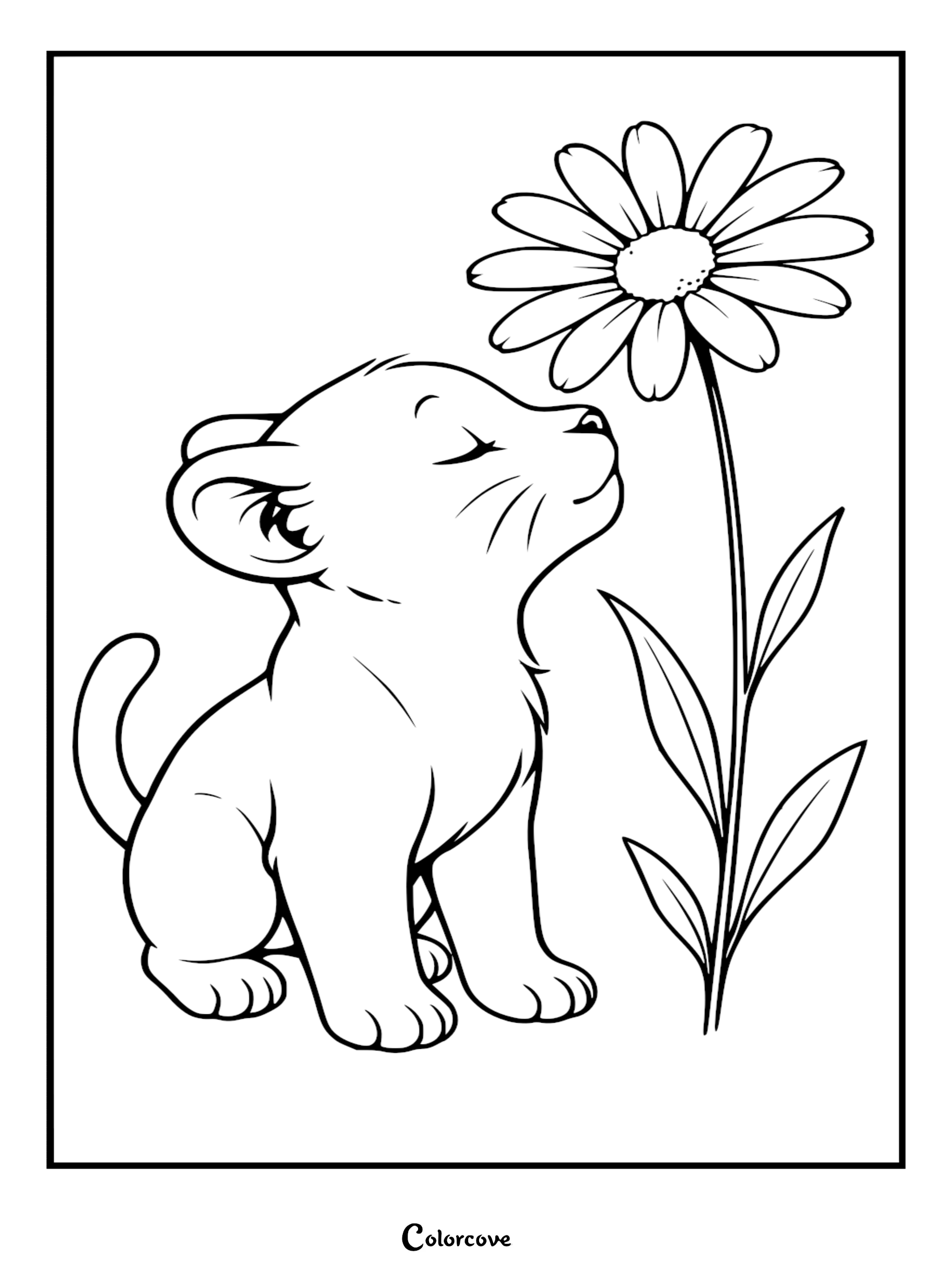 A cute lion cub with eyes closed, gently sniffing a large daisy in this printable coloring page.