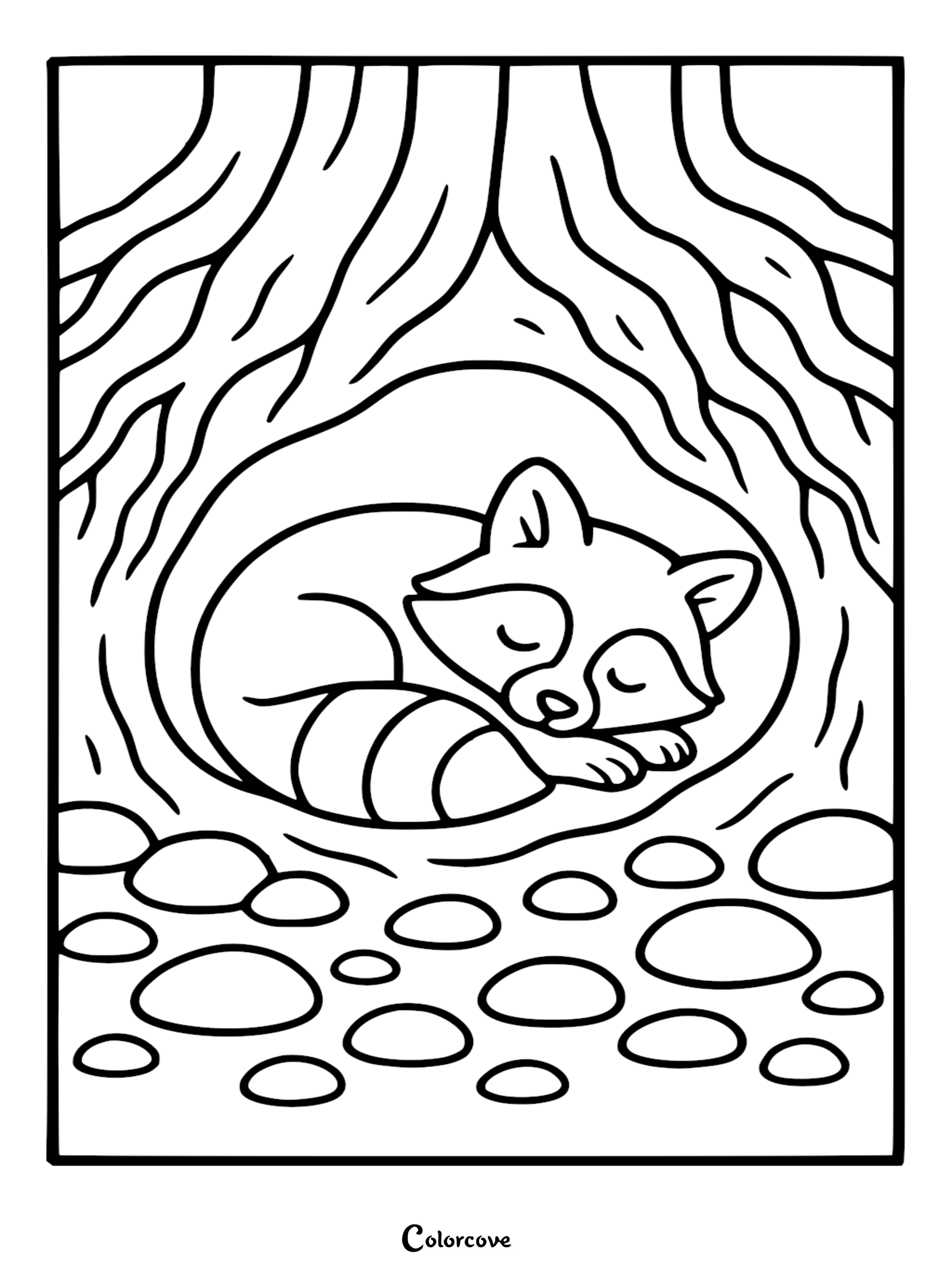 A detailed line art coloring page of a cute baby raccoon curled up asleep inside a round tree hollow nestled under thick gnarled roots with smooth river stones in the foreground.