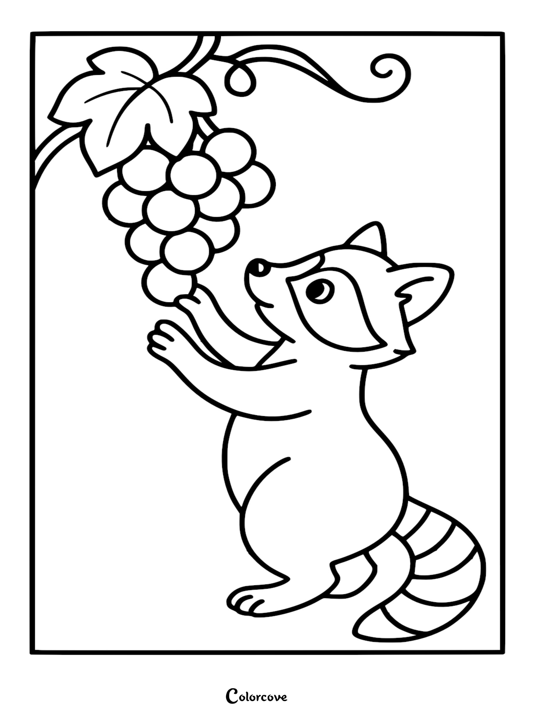 A cute cartoon raccoon reaching up to a bunch of grapes on a vine coloring page.