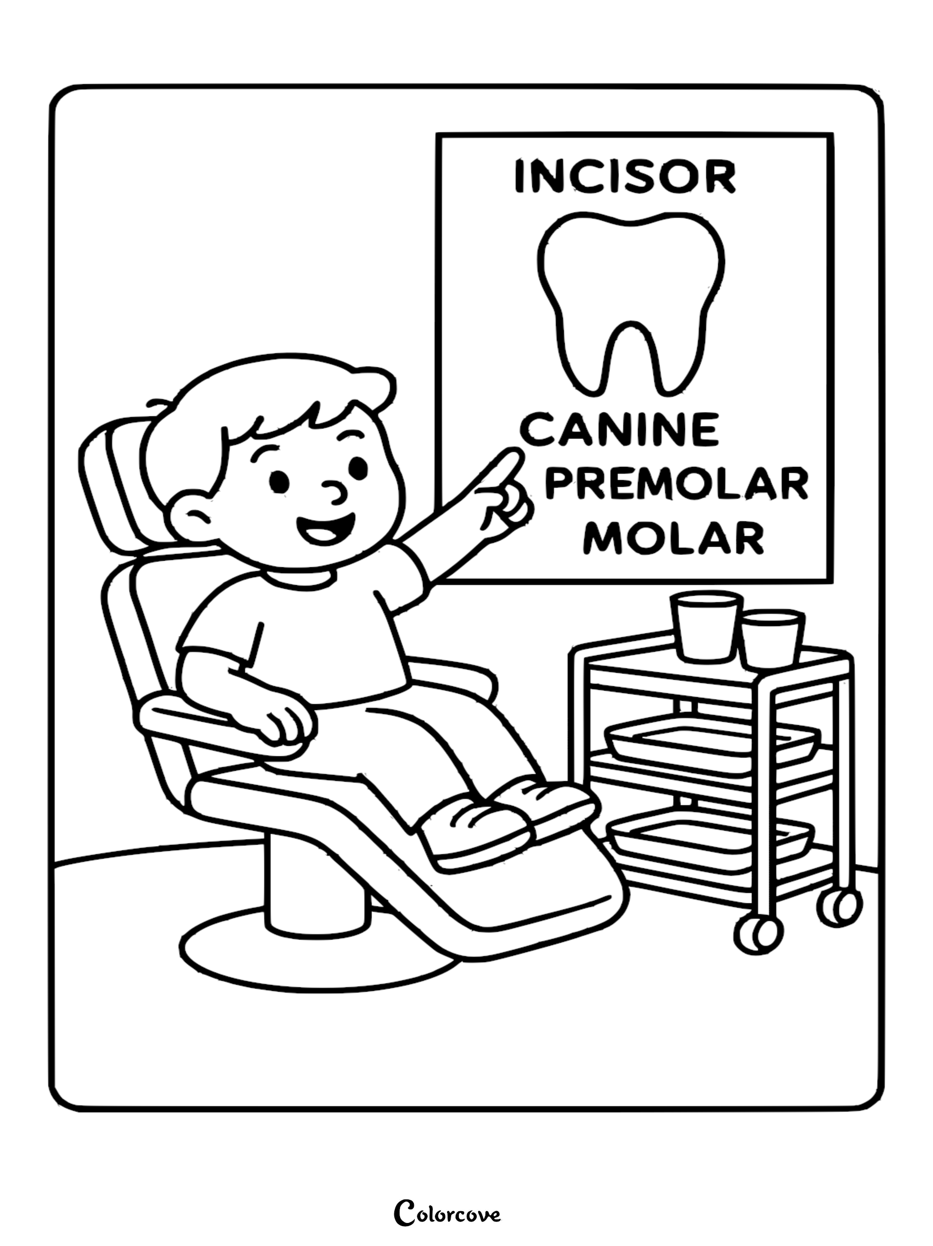 A boy sitting in a dental chair pointing at an educational tooth anatomy poster on a coloring page.