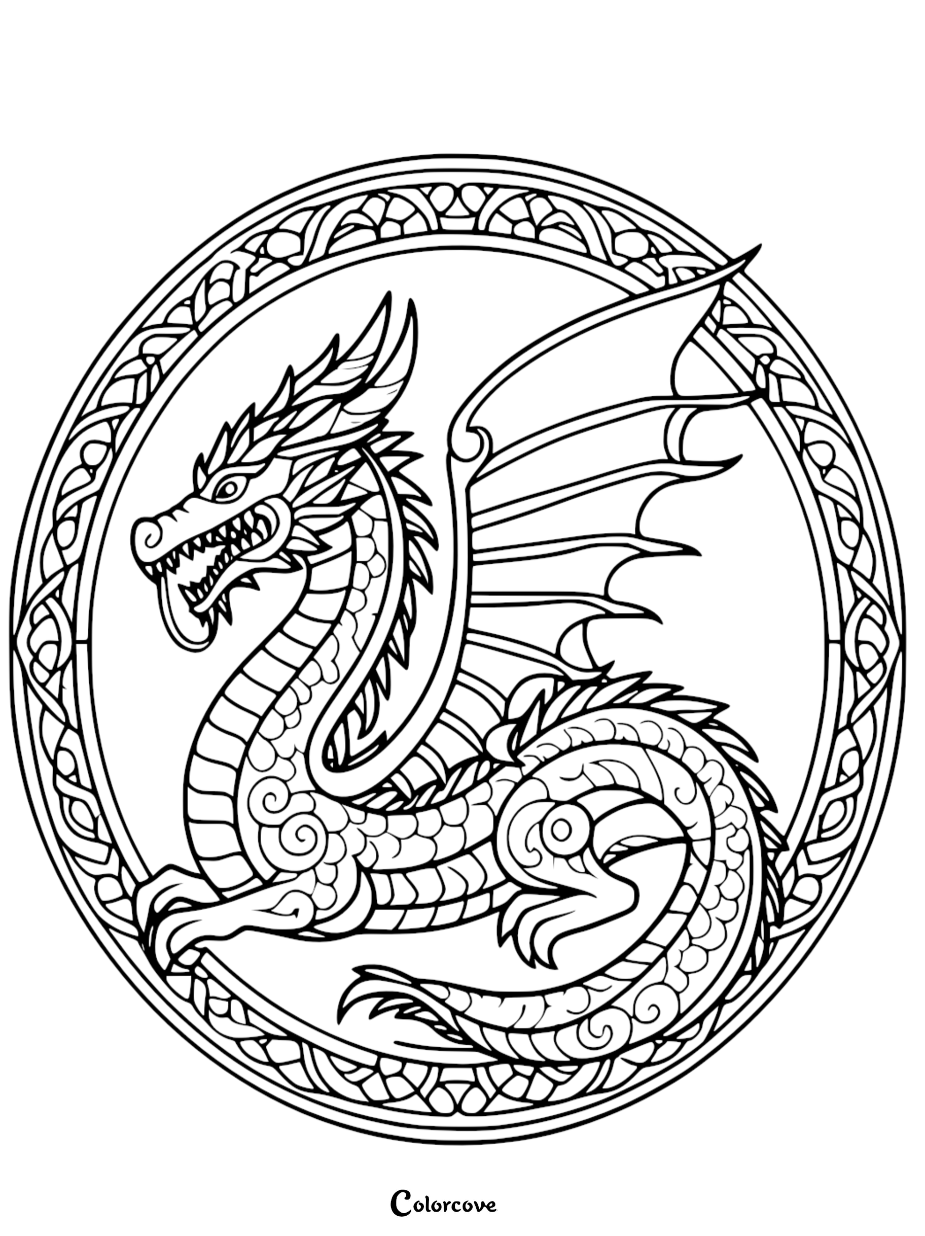 a black and white drawing of a dragon