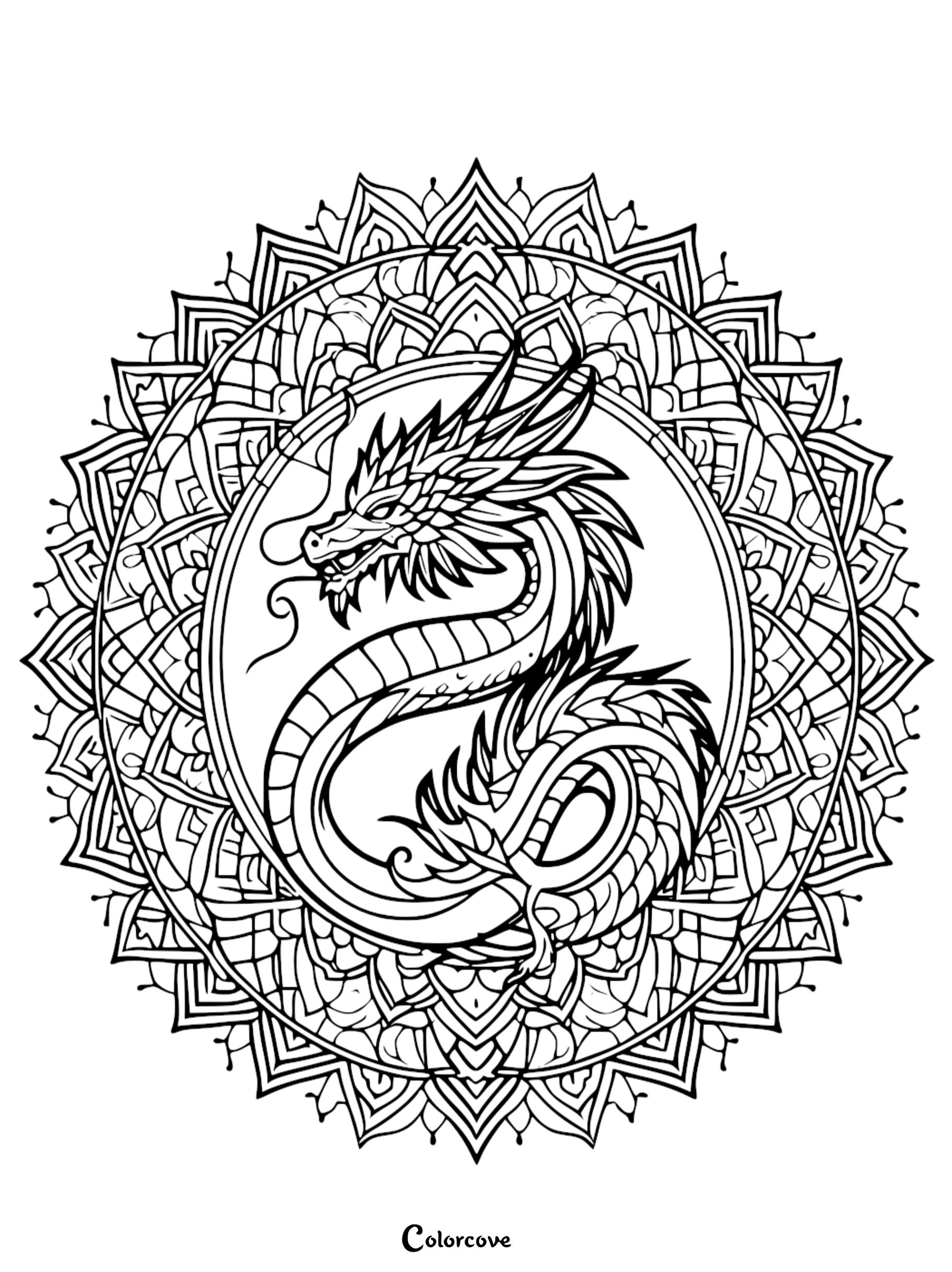 a black and white drawing of a dragon in a circular pattern