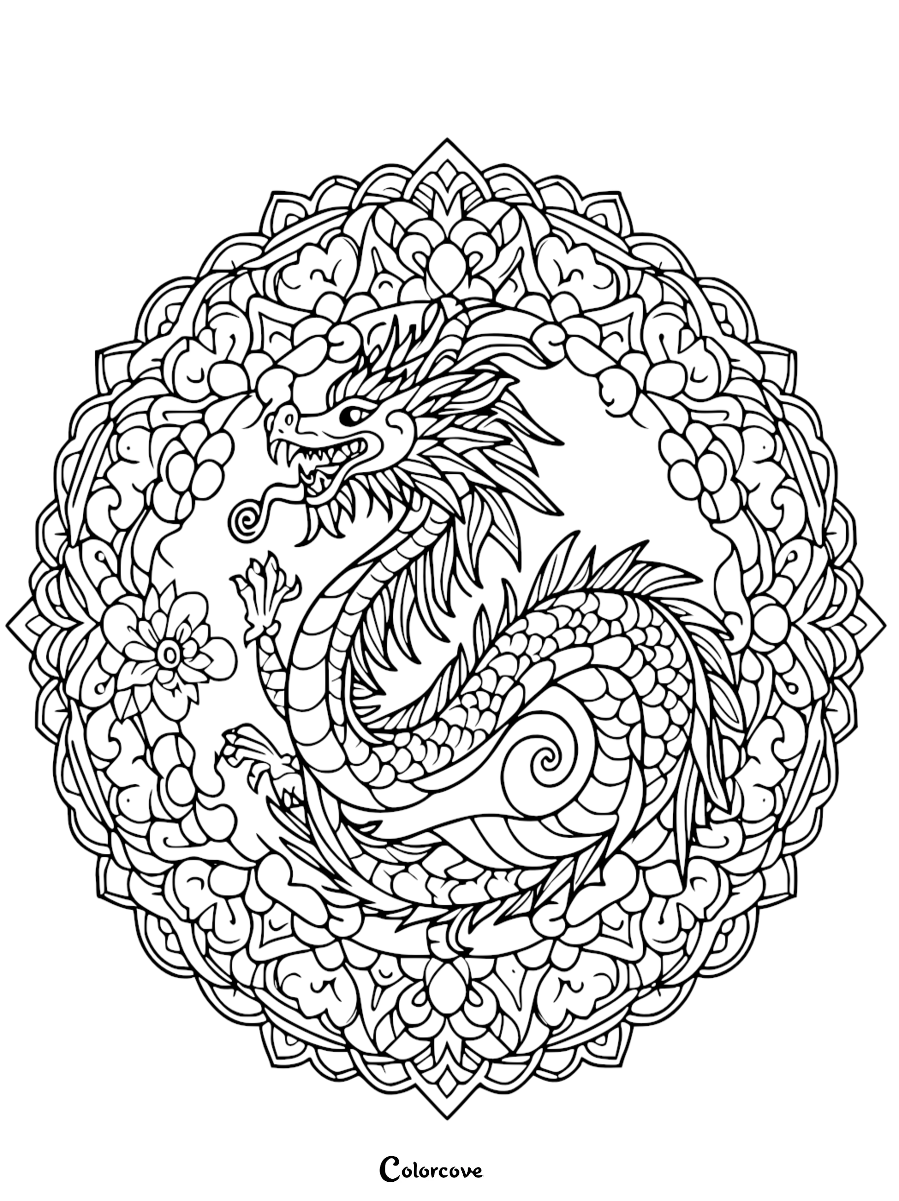 a black and white drawing of a dragon
