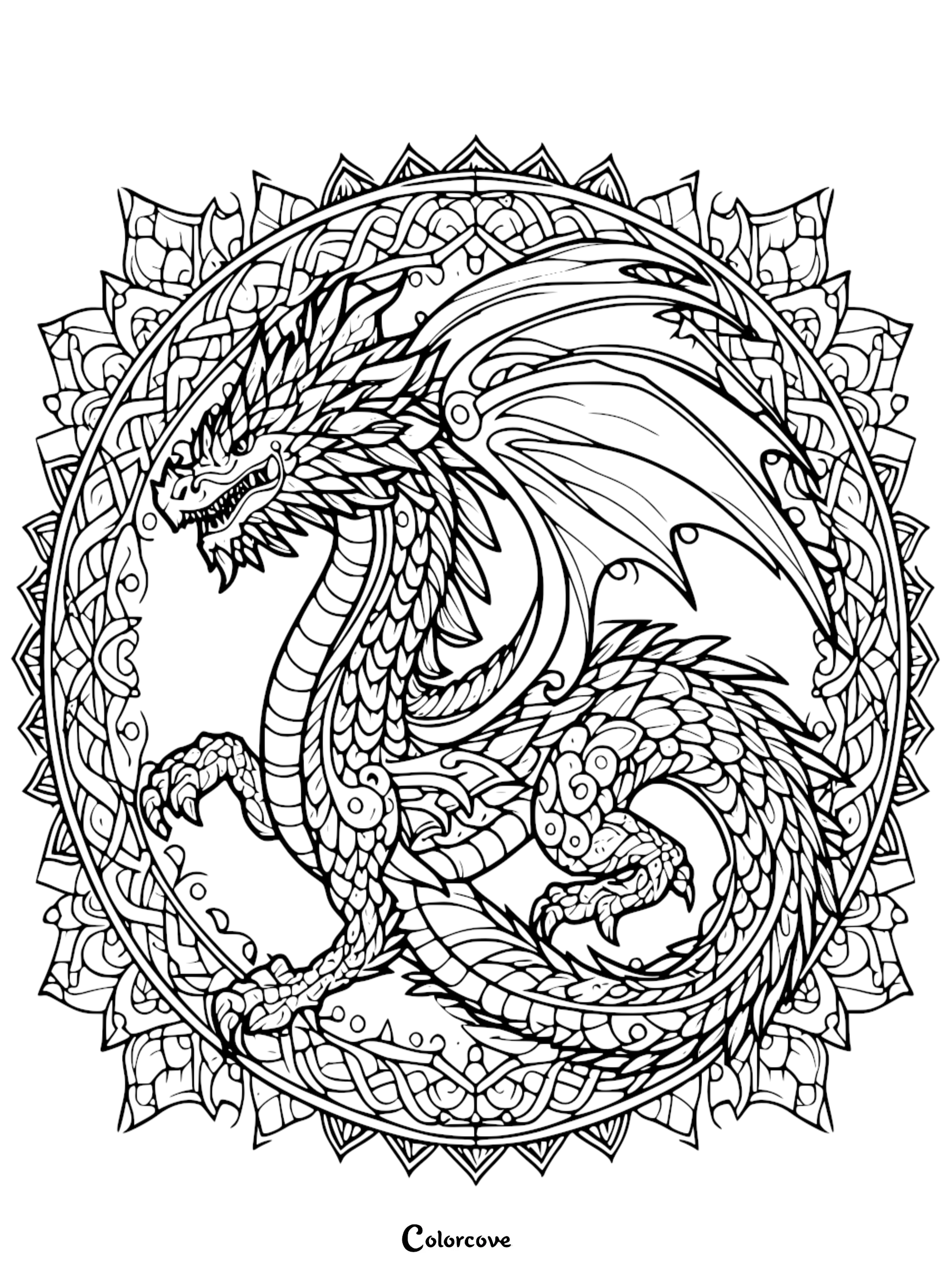 a black and white drawing of a dragon