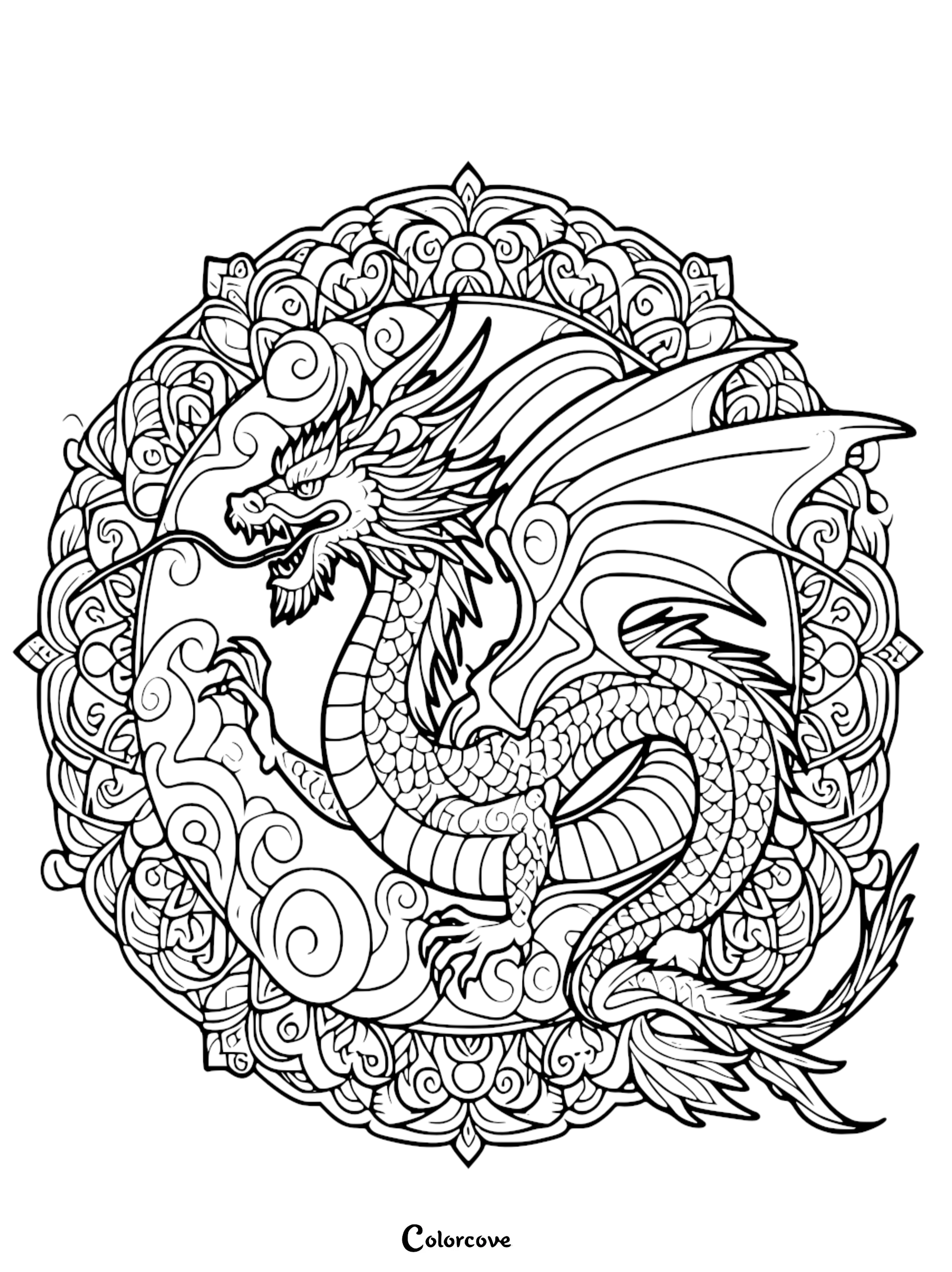 a black and white drawing of a dragon