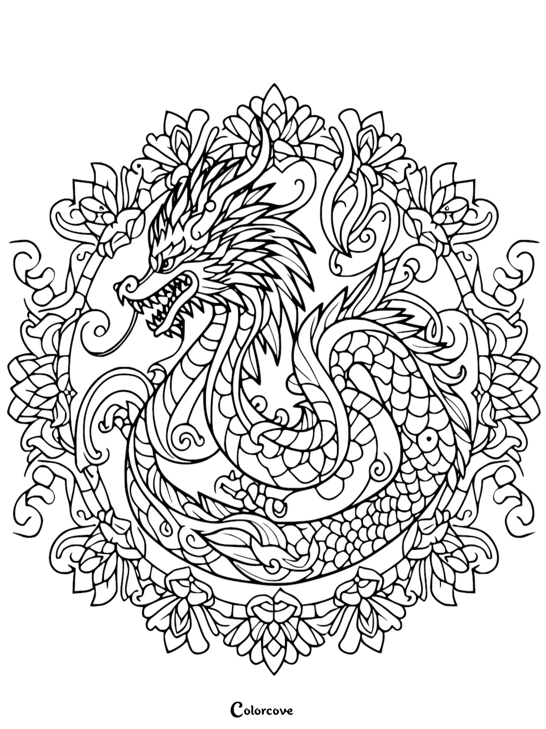 a black and white drawing of a dragon