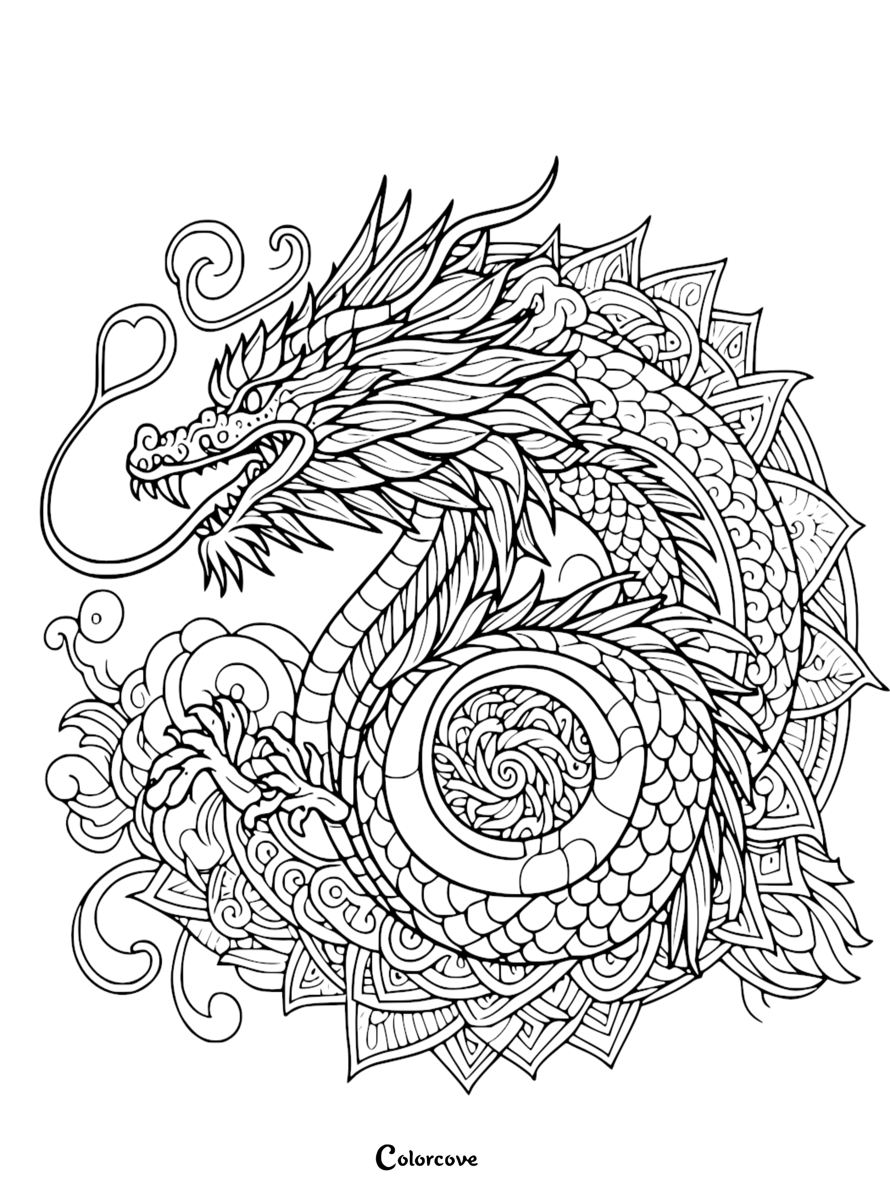 a black and white drawing of a dragon