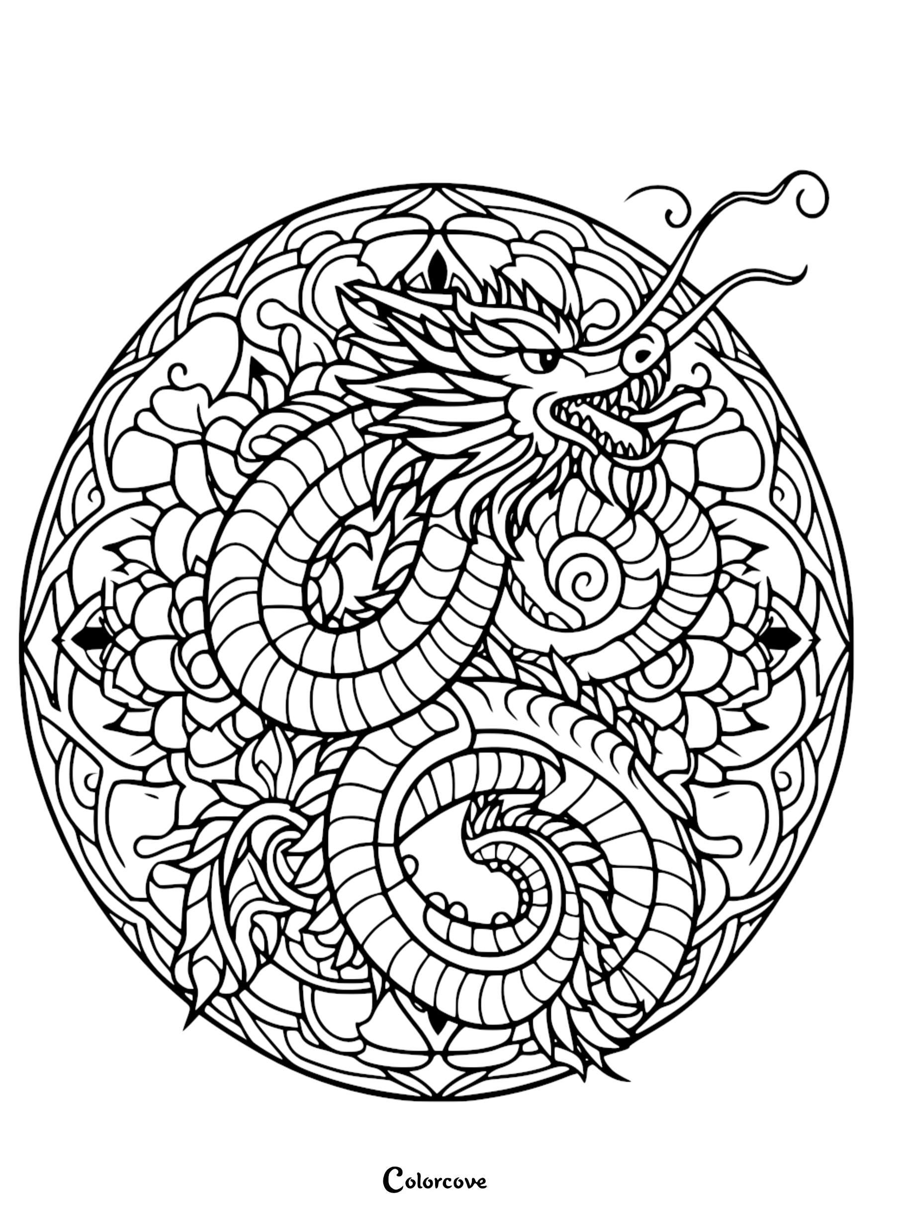 a black and white drawing of a dragon